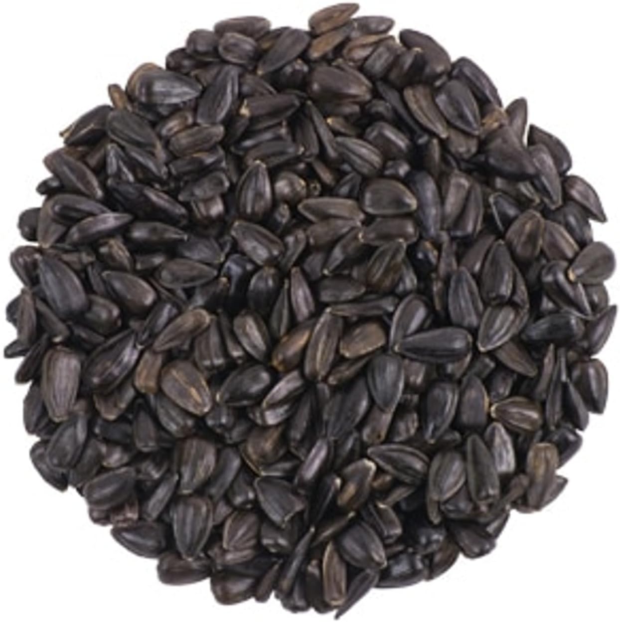 CountryMax Backyard Seeds Black Oil Sunflower (25 Pounds)