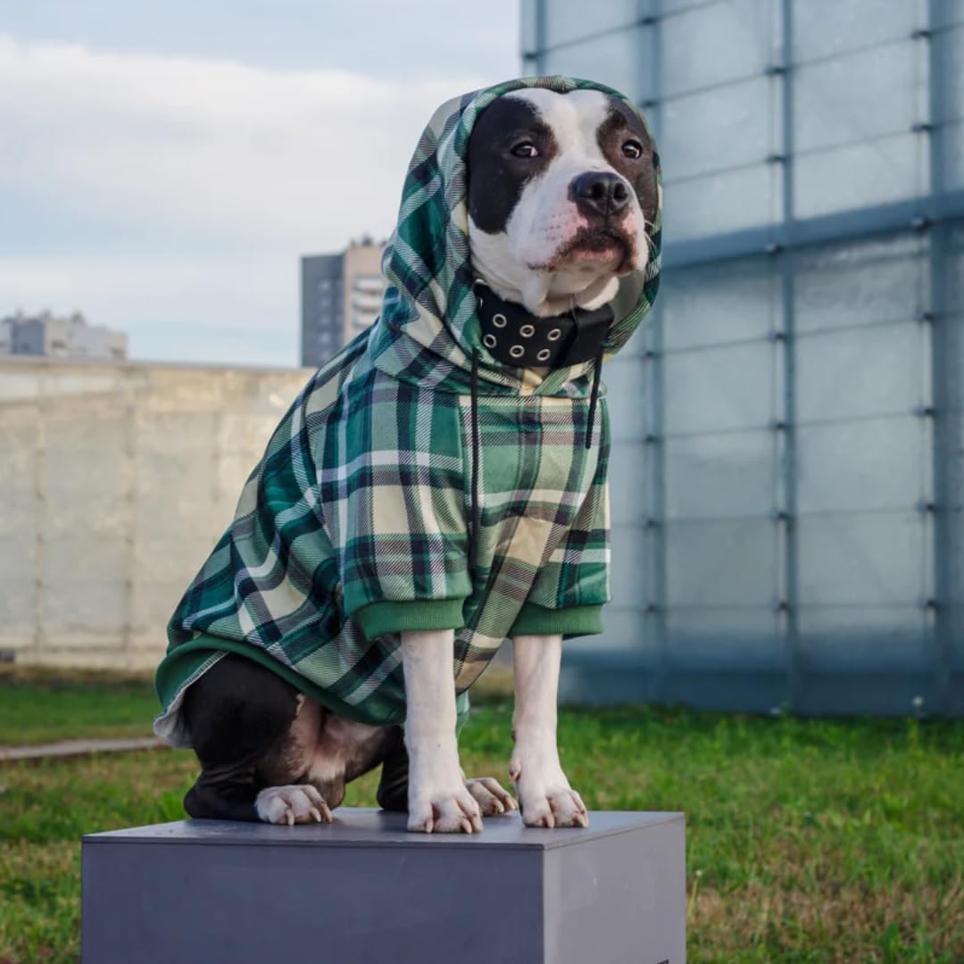 Spark Paws Dog Hoodie – Premium Dog Sweater for Small, Medium, and Large Dogs | Warm Outfits for French Bulldogs, Pitbull, Puppy, Winter Jacket Alternative - Green Plaid - L