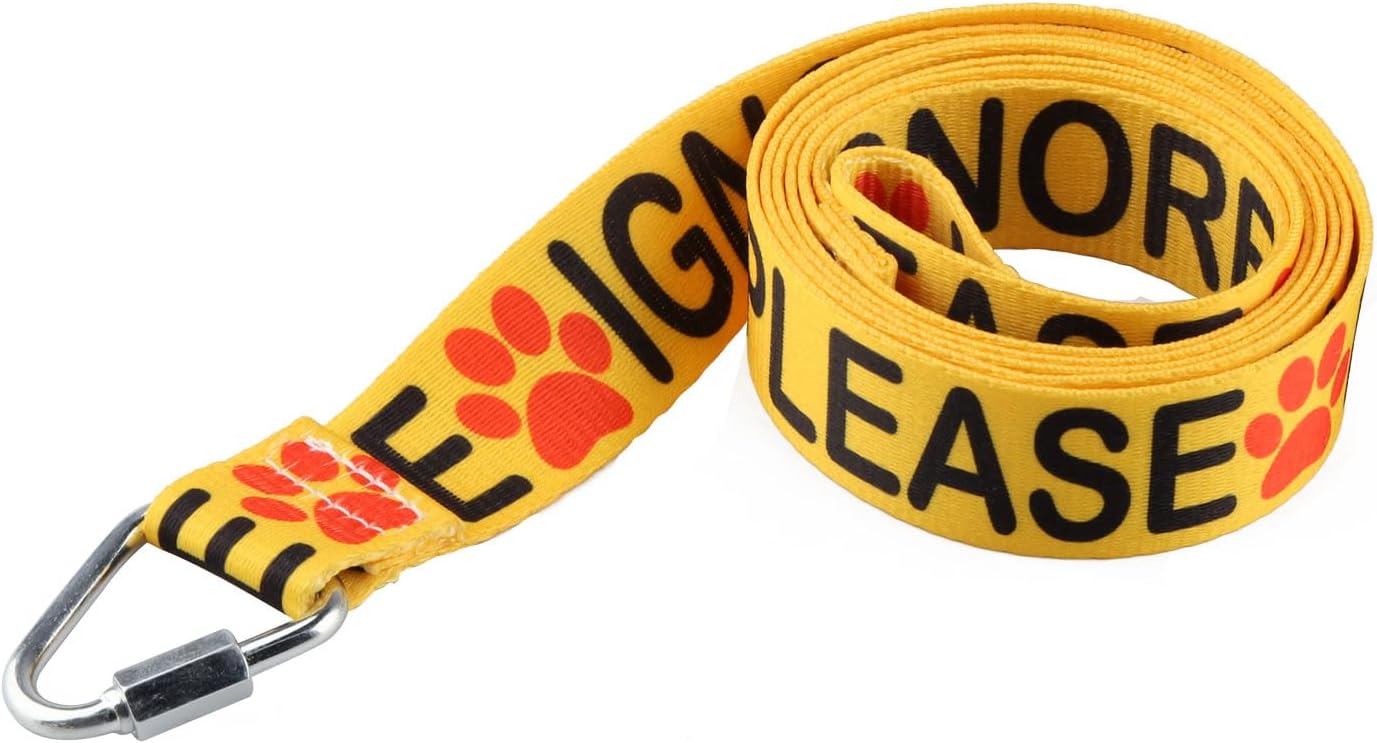 Funny Dog Leash Please Ignore Me Dog Leash Walking Training Dog Leashes Dog Owner Pet Lover Gift (Please Ignore Me-YE)