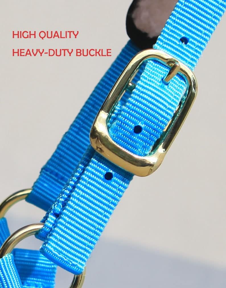 T TEKE Lunge Cavesson with Fleece Lined Nose Band and Crown