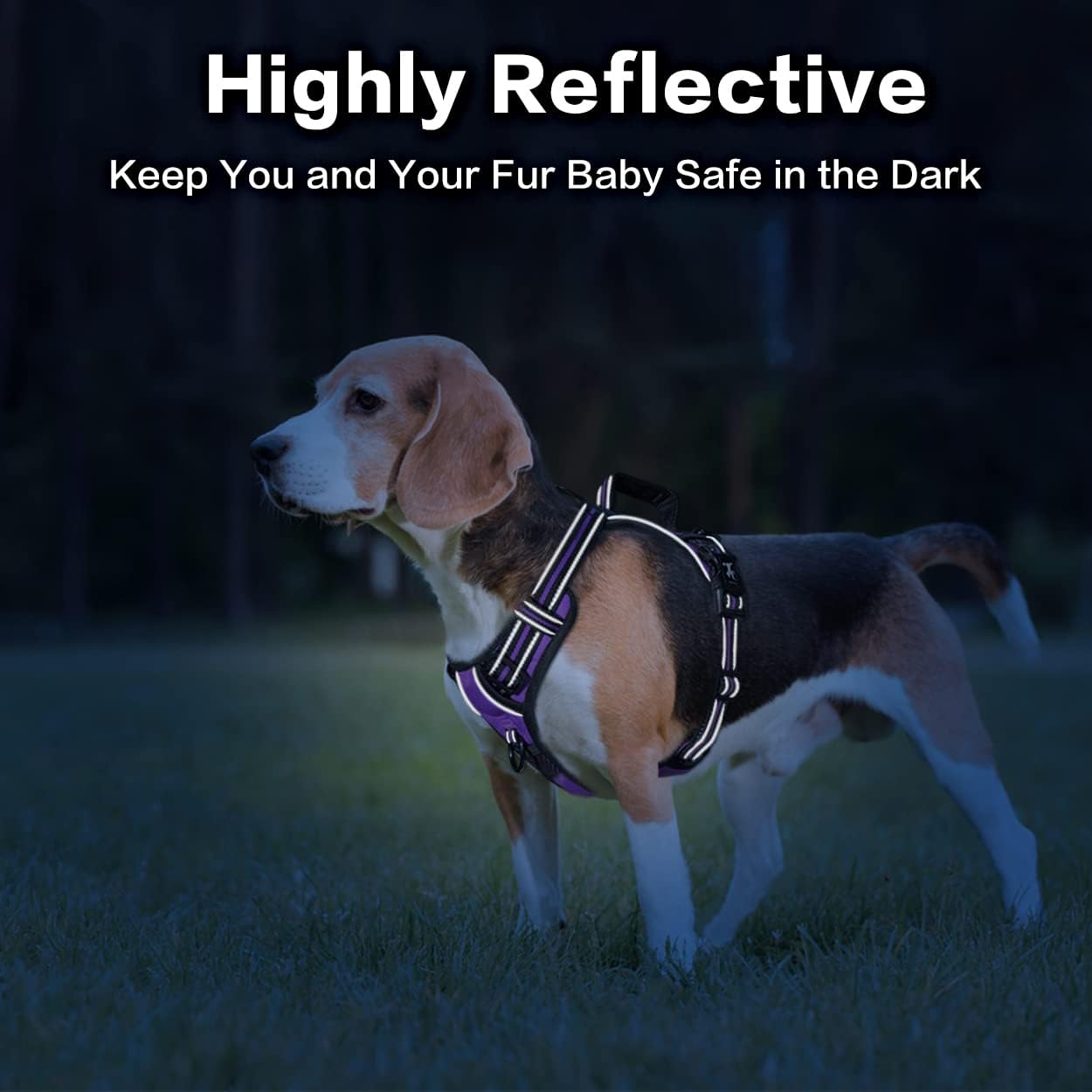 PoyPet No Pull Dog Harness, No Choke Front Clip Reflective Dog Vest with Soft Padded Vertical Handle, 3 Leash Attachments for Small Medium Large Dogs (Purple,L)