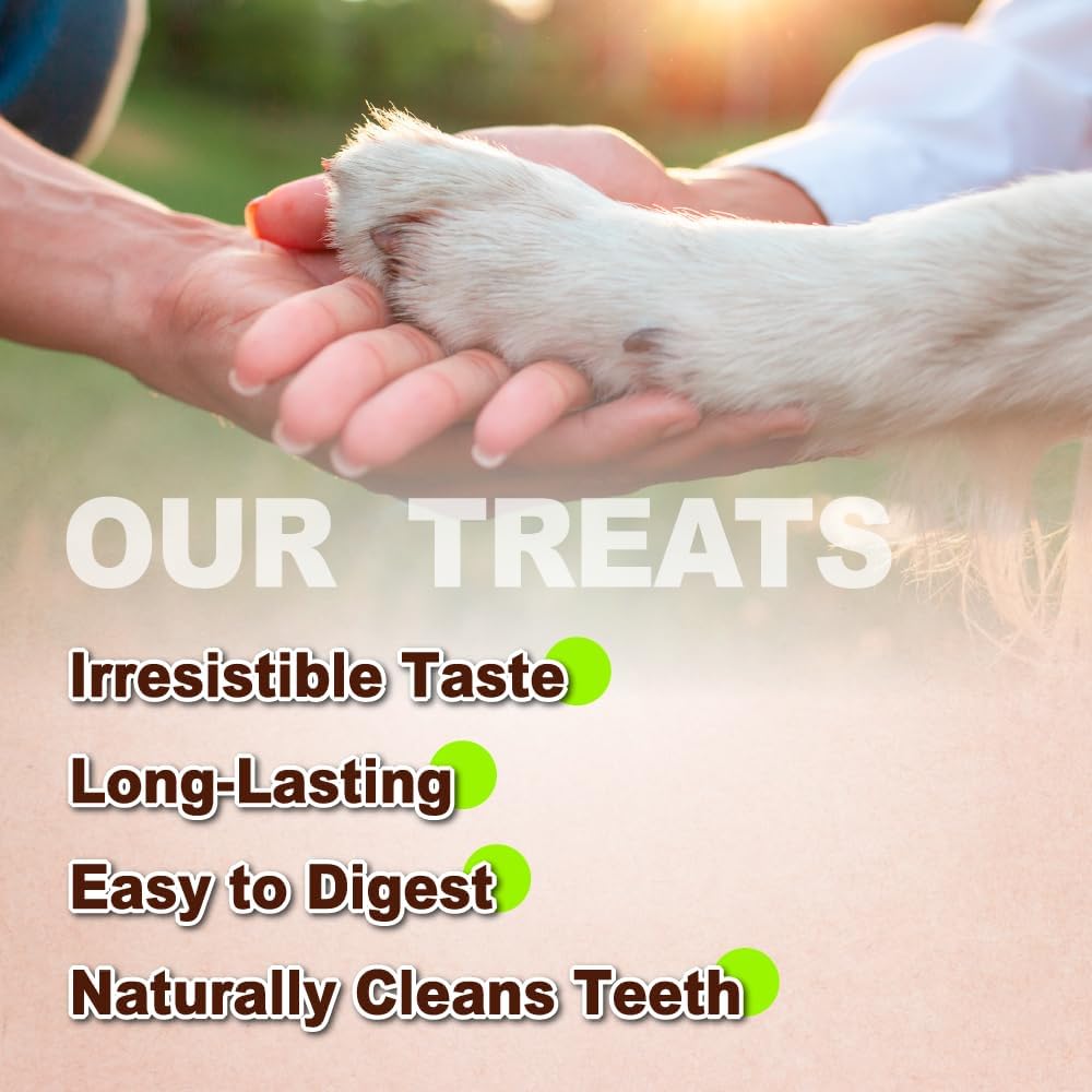 Afreschi Turkey Tendon for Dogs, Dog Treats for Signature Series, All Natural Human Grade Puppy Chew, USA-Sourced Turkey Tendon, Hypoallergenic, Rawhide Alternative, 20 Units/Box Ring (Medium)