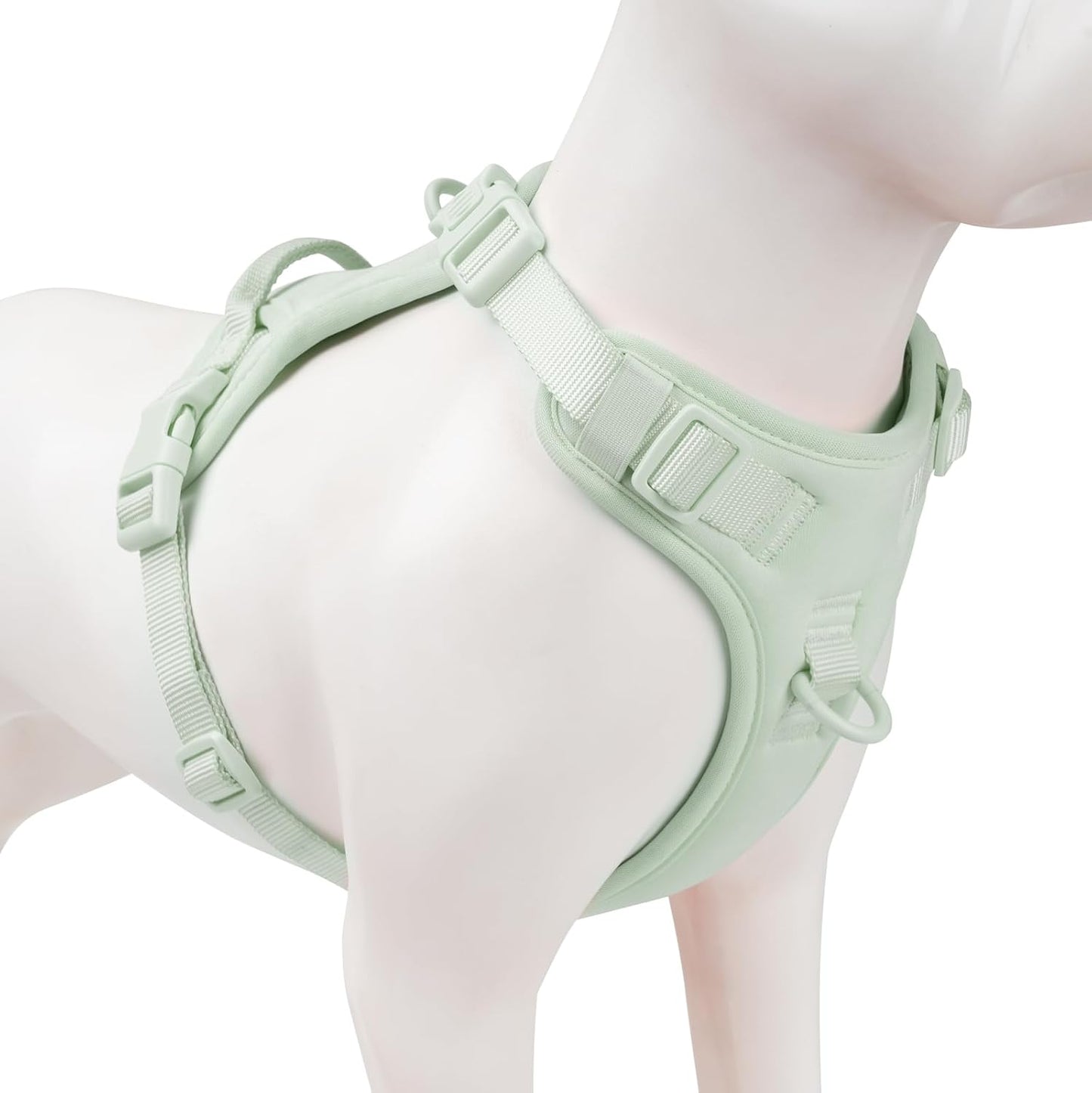 No Pull Dog Harness, Puppy Vest with Front Clip for Small Medium Large Sized Dog(Light Green,XS)