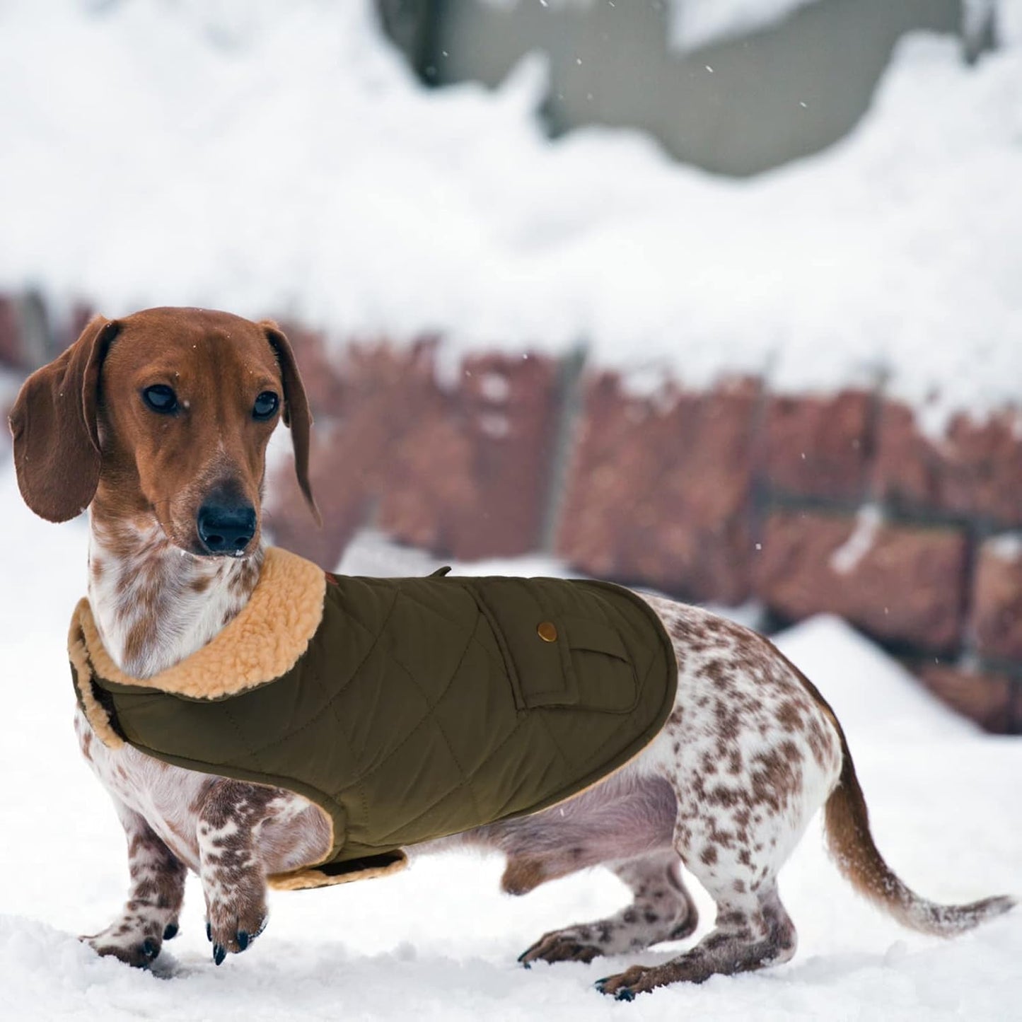 Queenmore Warm Puffer Dog Coat, Quilting Winter Jacket Ultra Thick Plush Lining with Storage Pockets (Green, X-Small)