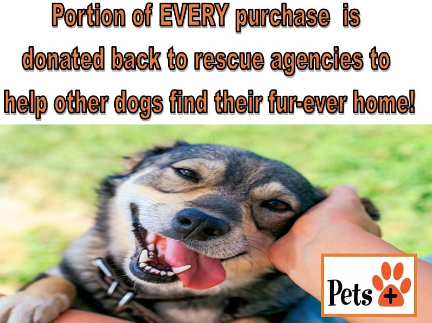 Pets Plus Beef Gullet Jerky Dog Treats – Medium Size, 6-Inch, 8-Pack – All Natural, High Protein, Grain-Free Chews for Dogs, Easily Digestible, Great for Dental Health & Joint Support