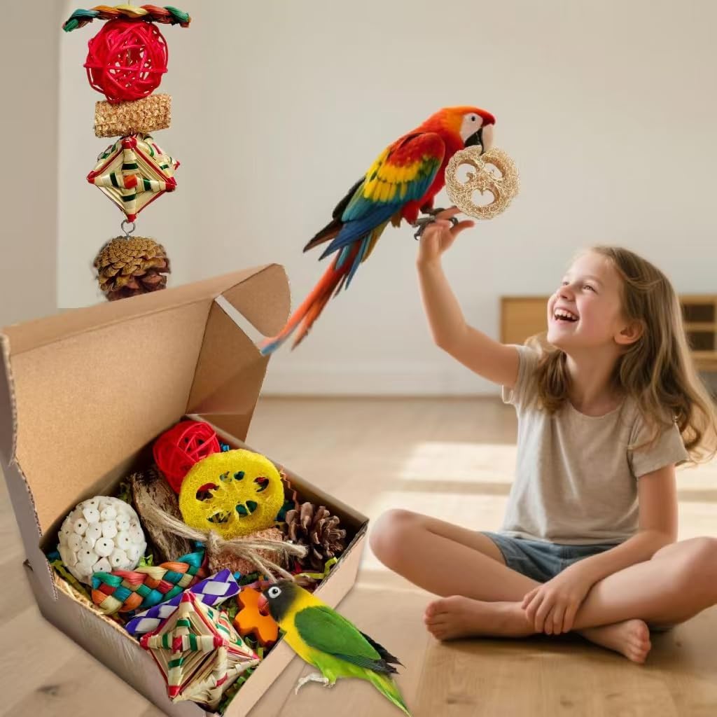2 in 1 Parrot Toys, Tyotrbs Parakeet Foraging Box DIY Hanging String with Comes with 2 Hooks Bird Toy for Parakeets,Cockatiels,Conures,Love Birds Cage Accessories for Small to Medium Birds (Colorful)