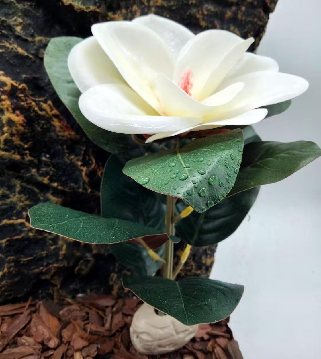 Reptile Plants Terrarium Reptile Tank Decorations for Bearded Dragon Lizard Snake Geckos Chameleon Amphibian Habitat Terrarium Decor (White)