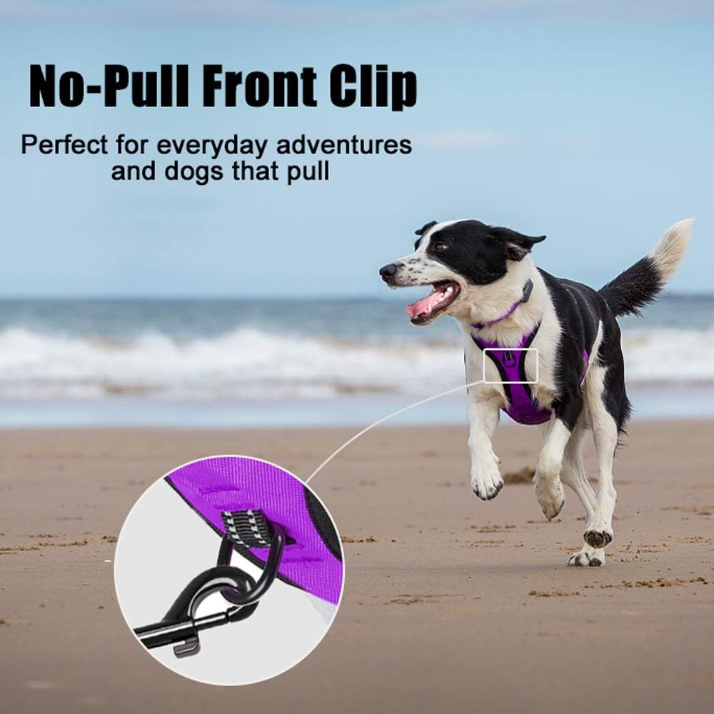 PoyPet No Pull Dog Harness, Reflective Comfortable Vest Harness with Front & Back 2 Leash Attachments and Easy Control Handle Adjustable Soft Padded Pet Vest for Small to Large Dogs (Purple,XL)
