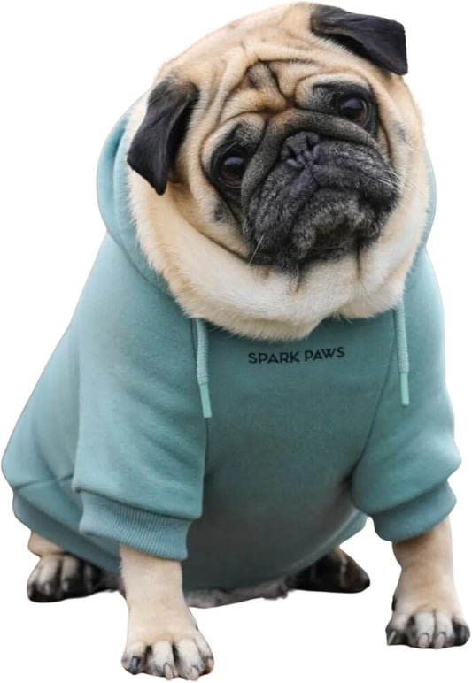 Spark Paws Dog Hoodie – Premium Dog Sweater for Small, Medium, and Large Dogs | Warm Outfits for French Bulldogs, Pitbull, Puppy, Winter Jacket Alternative - Teal - L