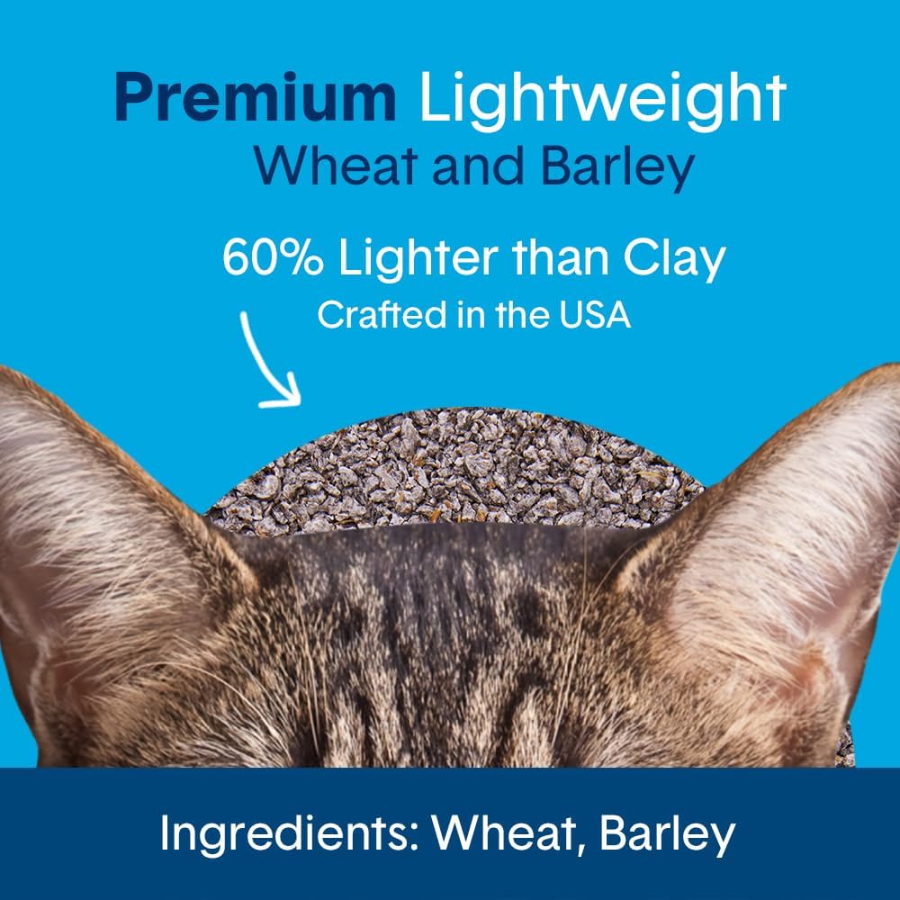 Boxie® Unscented 30 Day Natural Odor Control Cat Litter, 6.5lb Lightweight Plant Based Kitty Litter