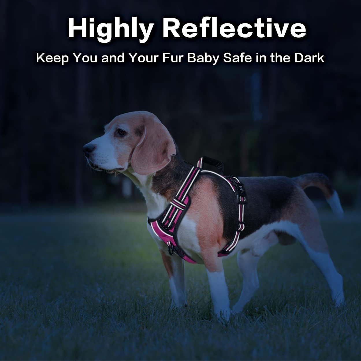 PoyPet No Pull Dog Harness, No Choke Front Clip Reflective Dog Vest with Soft Padded Vertical Handle, 3 Leash Attachments for Small Medium Large Dogs (Pink,M)