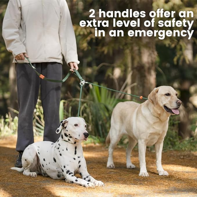 Howgo Double Slip Leash Slip Lead with Two Handles| Dual Dog Slip Lead for 2 Dogs,360° Swivel No Tangle | Dog Training Collar | Double Clip Leash Coupler and Splitter (Orange, 3FT)