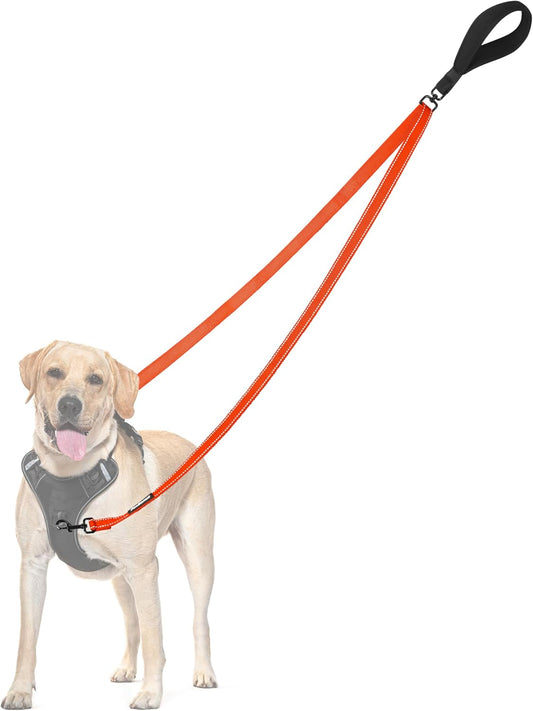 PetBonus Two Point Control Dog Leash, Works with No Pull Harnesses, No Tangle Training Leashes, Soft Padded and Reflective Walking Lead, Converts to Single Lead for Medium Large Dogs (Orange)
