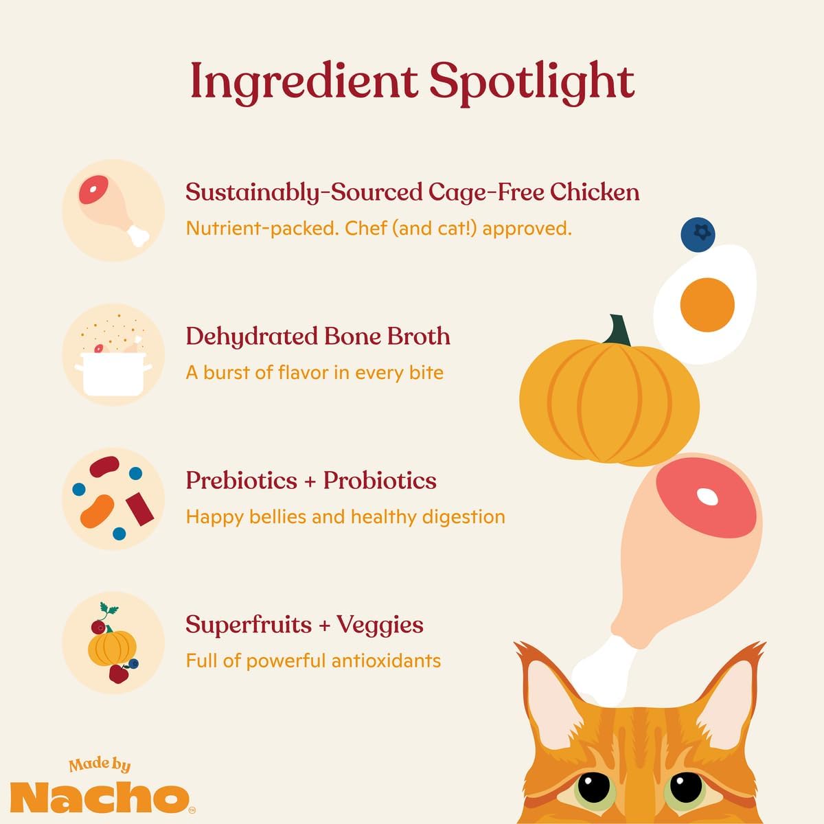 Made by Nacho Dry Cat Kibble 4lb Bag, High Protein and Grain-Friendly Premium Cat Food, Cage-Free Chicken & Pumpkin Recipe, Infused with Bone Broth for Hydration, Limited Ingredients, Single Bag