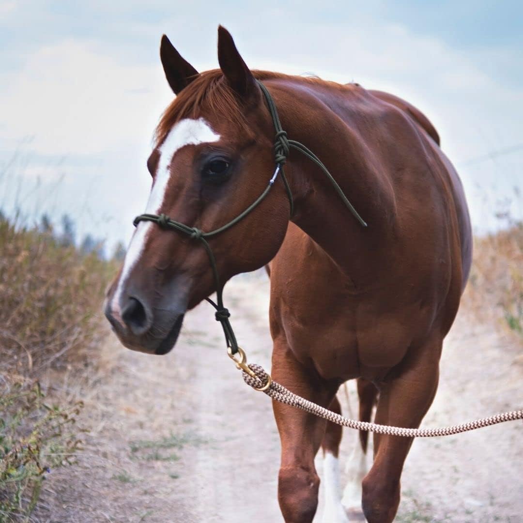 Double Braid Polyester Yacht Horse Lead Rope with Loop 12ft. or 14ft. Lengths (Brown, 14 ft. No Snap)