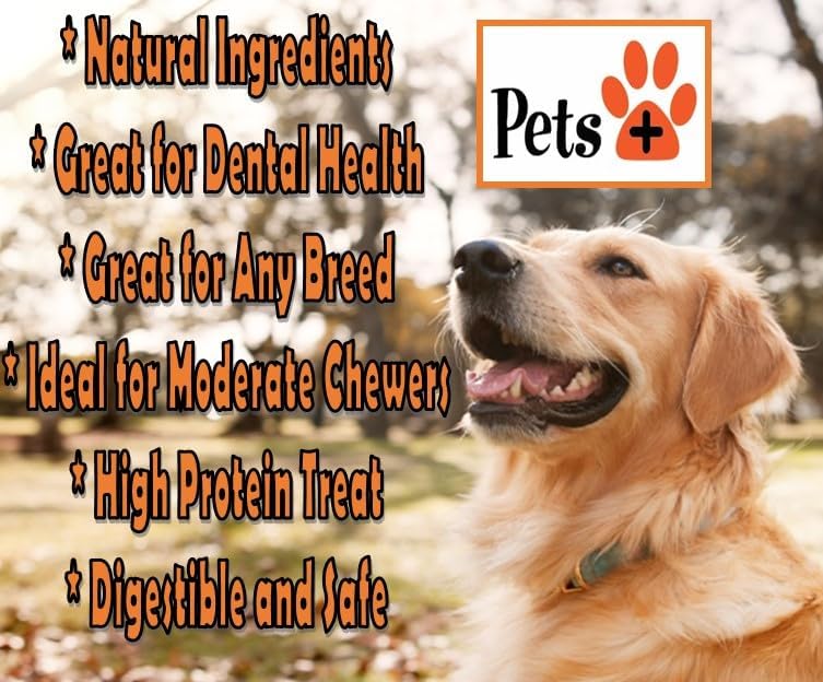 Pets Plus Premium Dog Treat – Beef Femur Bone, 1 Count | All-Natural, Long-Lasting Chew for Medium & Large Dogs, Supports Dental Health & Boredom Relief
