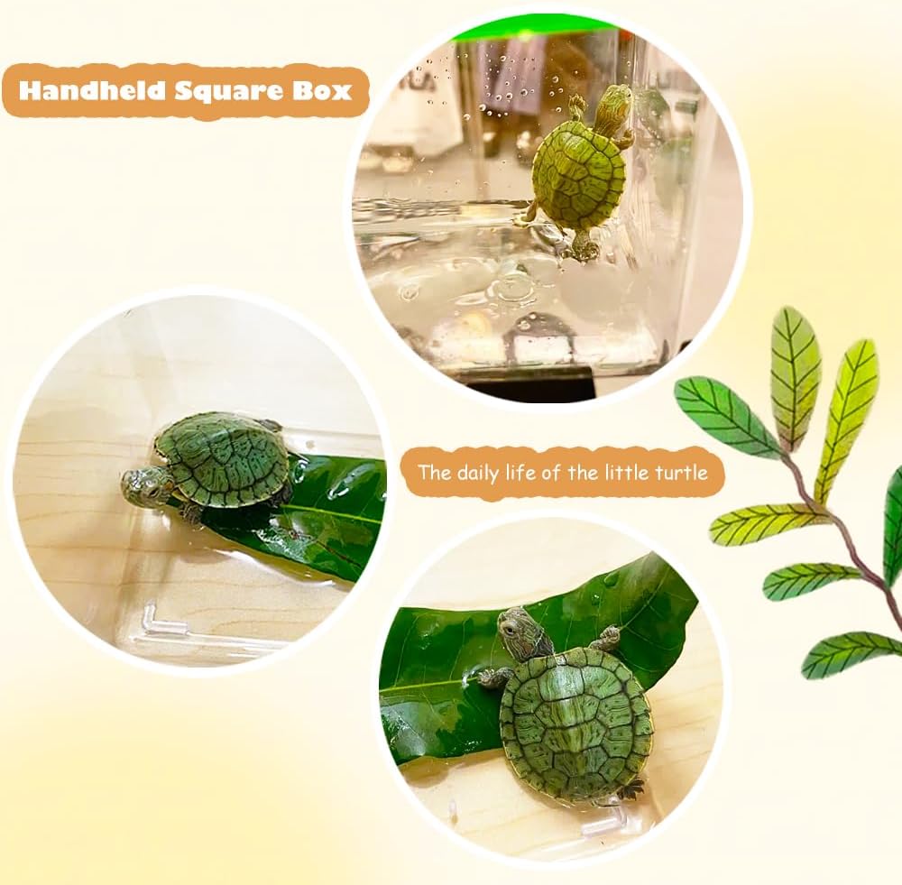 14 Pack Small Plastic Reptile Carrier Breeding Box Hatching Container for Fish Turtle Hermit Crab Spider Snake Bearded Dragon Lizard (4.7 x 4.7 x 3.9 Inch)