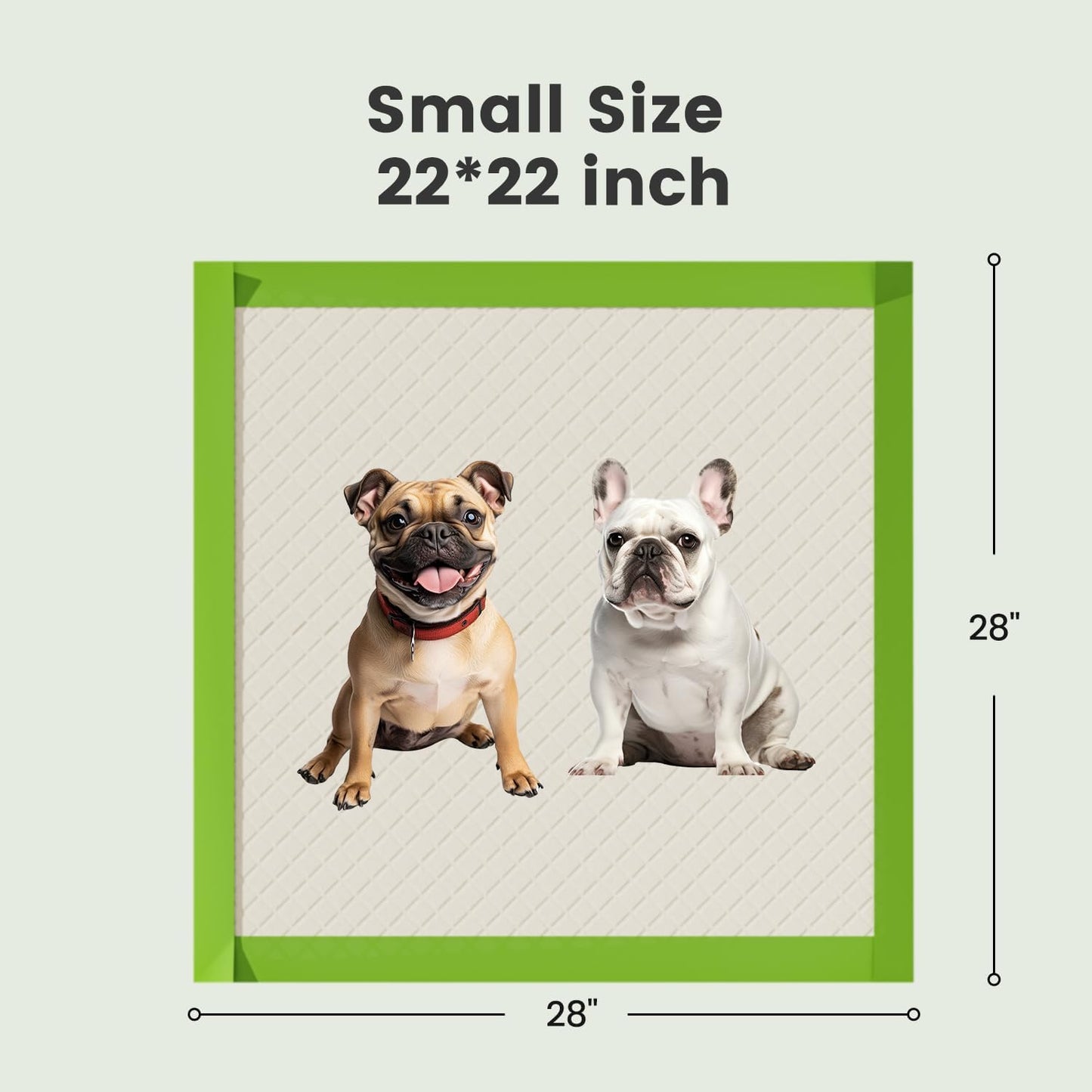 Gardner Pet Dog Pee Pads Rugular 22"x22", Thicker ECO Green Small Disposable Puppy Training Pads Super Absorbent Full Edge-Wrapping Pad for Dogs, Puppies, Doggies, Cats-(50 Count)