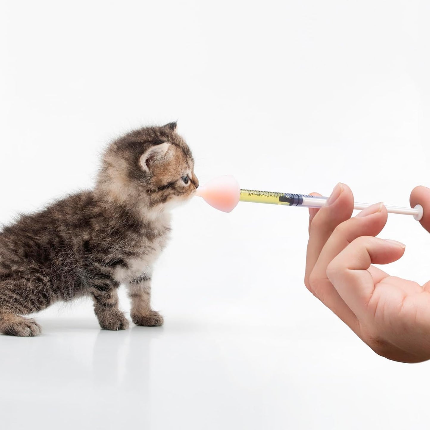 Pet Nursing Bottle, Nursing Bottle Kits, Kitten Bottle Feeding Kit, Fit for Feeding Newborn Puppies, Kitten, with 6 Replacement Nipple for Nursing Puppy Milk