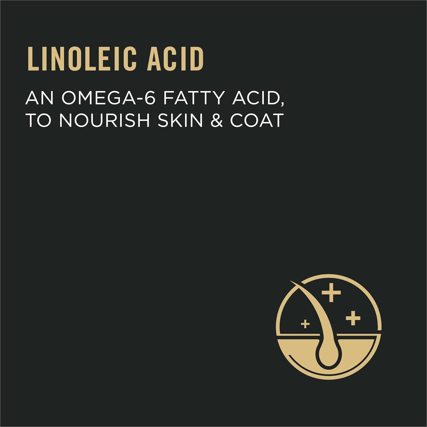 Purina Pro Plan Urinary Tract Cat Food, Chicken and Rice Formula - 7 lb. Bag