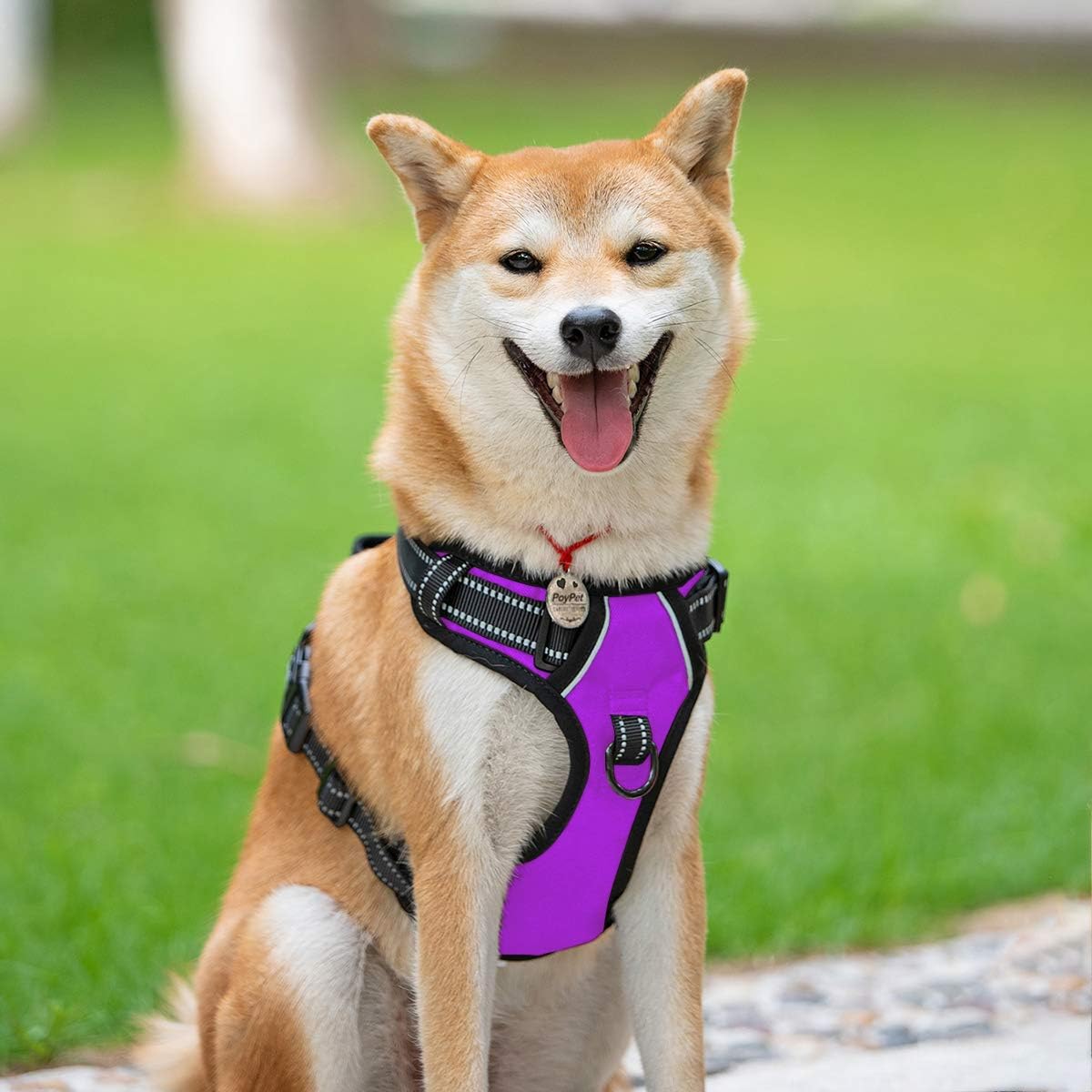 PoyPet No Pull Dog Harness, Reflective Comfortable Vest Harness with Front & Back 2 Leash Attachments and Easy Control Handle Adjustable Soft Padded Pet Vest for Small to Large Dogs (Purple,M)