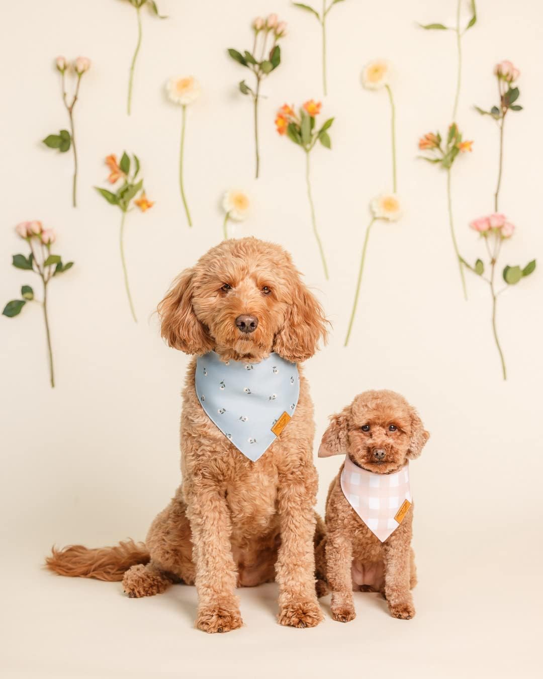 Remy+Roo Large Spring Dog Bandanas - 4 Pack Emily Set | Premium Durable Adjustable Polyester Fabric Dog Scarfs | Patented Shape Girl Dog Bandana, Trendy Patterns, Floral Dog Bandana