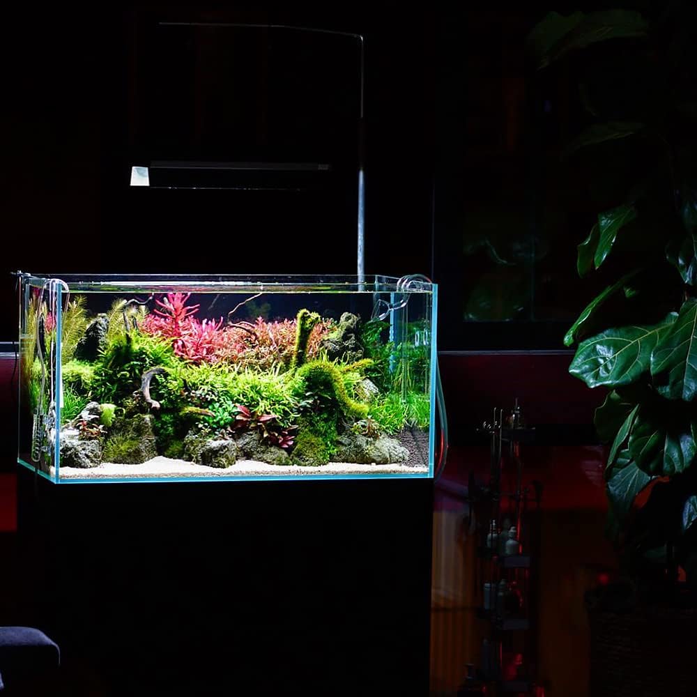 SubstrateSource Live Aquarium Red Stem Plants - Freshwater Aquatic Plant for Fish Tanks, Aquascaping - (Rotala Wallichii, 1 Bunch)