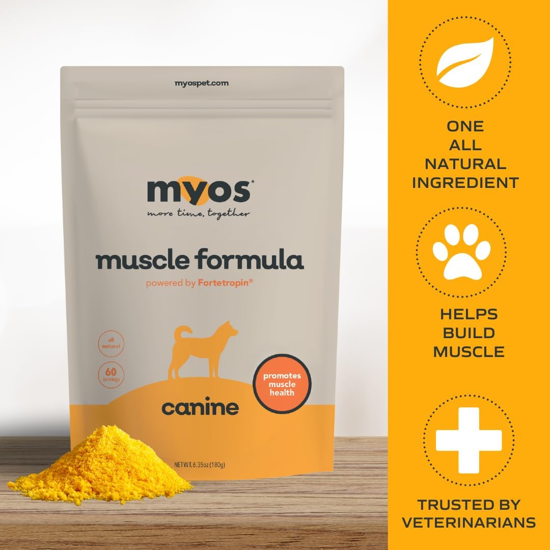 MYOS Canine Muscle Formula - All-Natural Muscle Building Supplement - Helps Reduce Muscle Loss in Aging Dogs and Improve Recovery from Injury or Surgery
