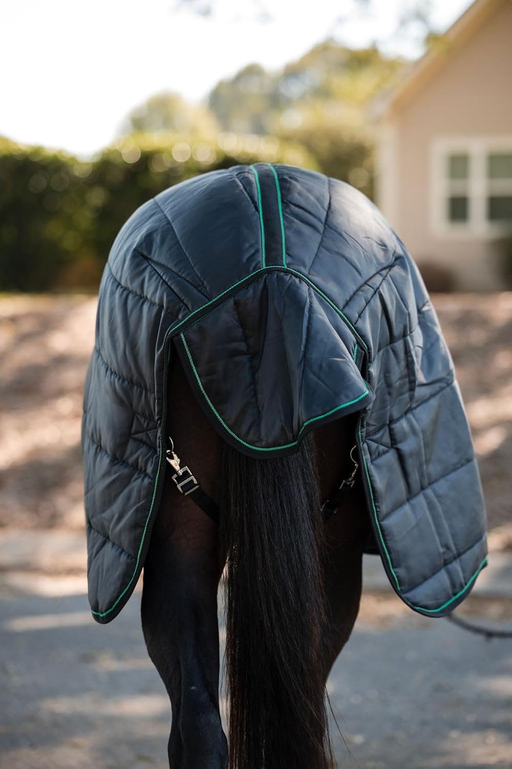 Miller's Medium Weight Stable Blanket 200 GSM Polyfill with Cotton Lining-Black-65