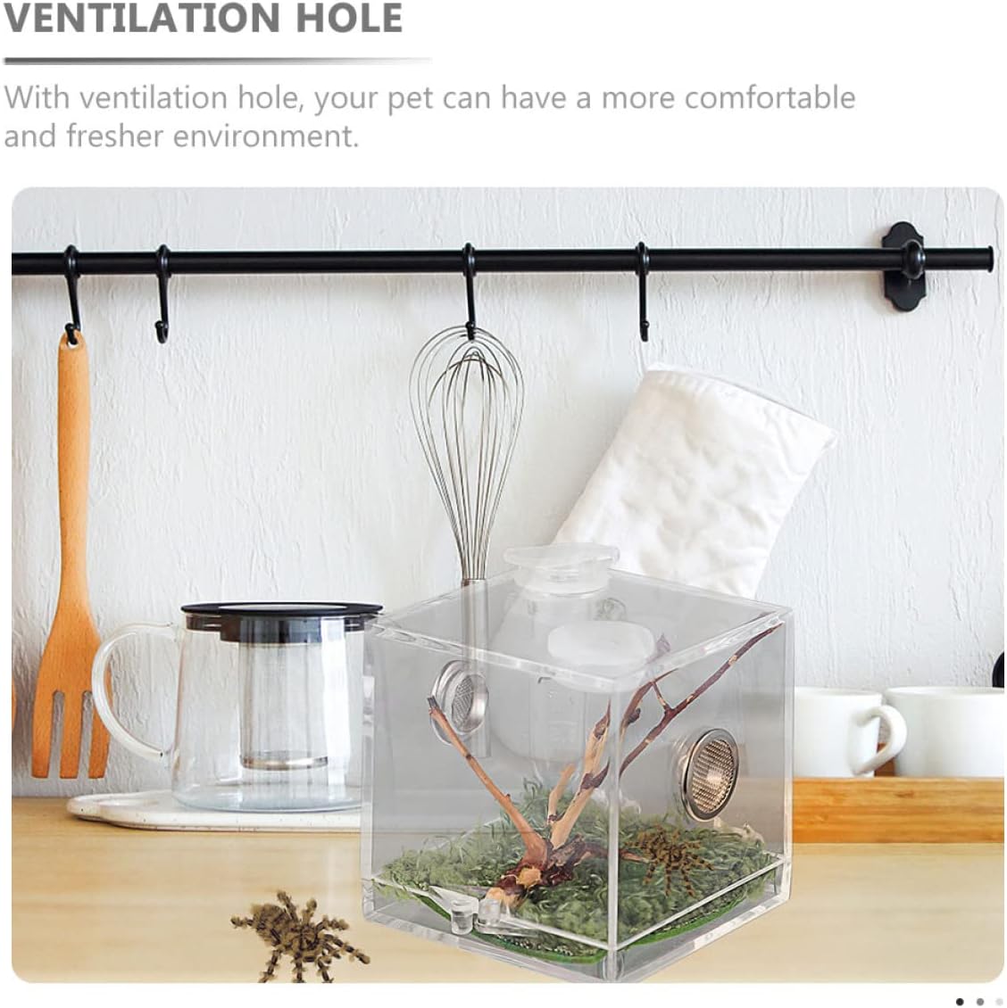 balacoo 8 Sets Jumping Spider Enclosure: Spider Cage Habitat Jumping Terrarium Micro Scorpion Droppers Reptile Hide Clear Enclosure Breeding Box Case with Breeding Tweezers