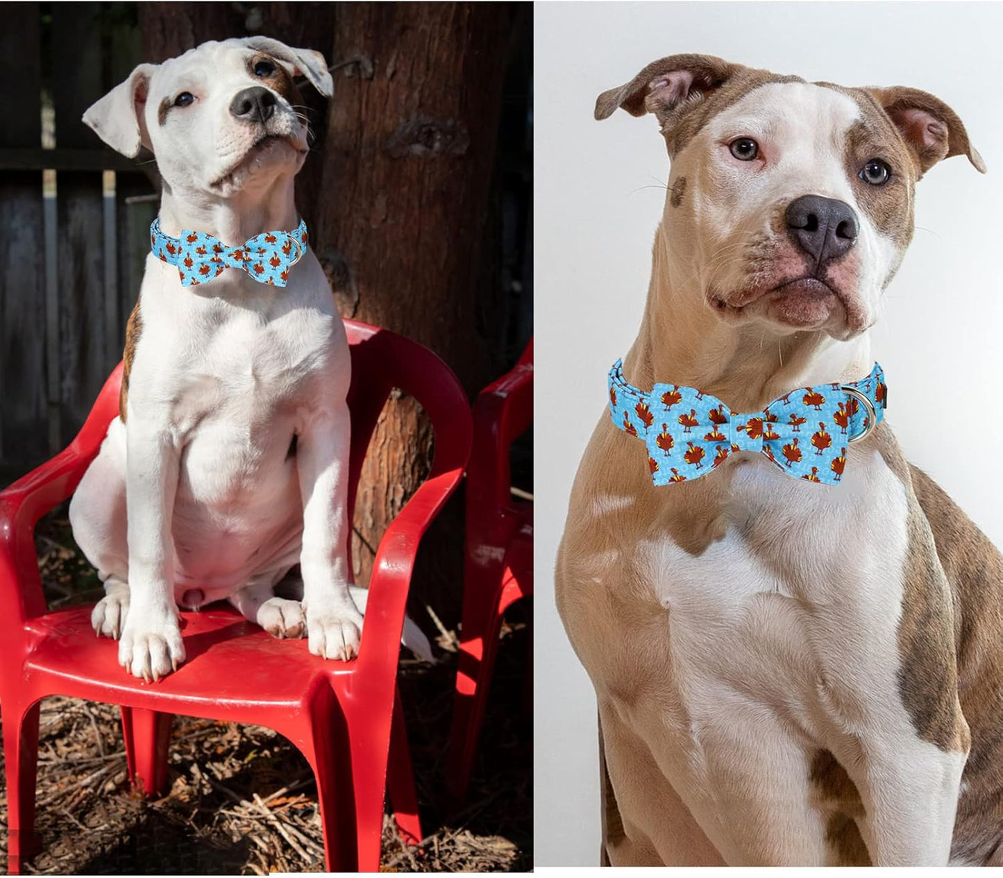 Unique style paws Christmas Dog Collar with Bow Tie Red Elk Cotton Collar Adjustable Puppy Collar for Small Medium Large Dogs-M