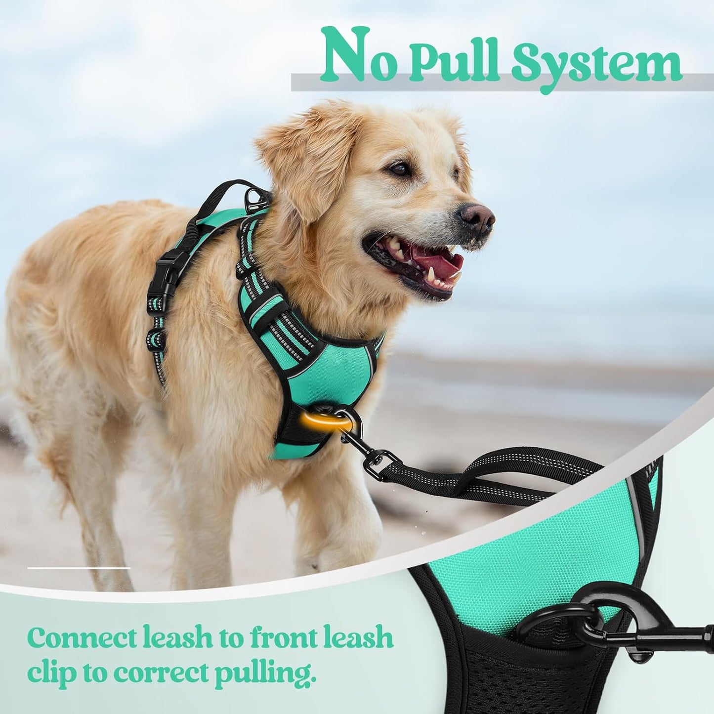 rabbitgoo Dog Harness No Pull with 2 Leash Clips, Adjustable Soft Padded, Reflective Oxford No Choke Pet Vest with Easy Control Handle for Small Dogs, Turquoise, S