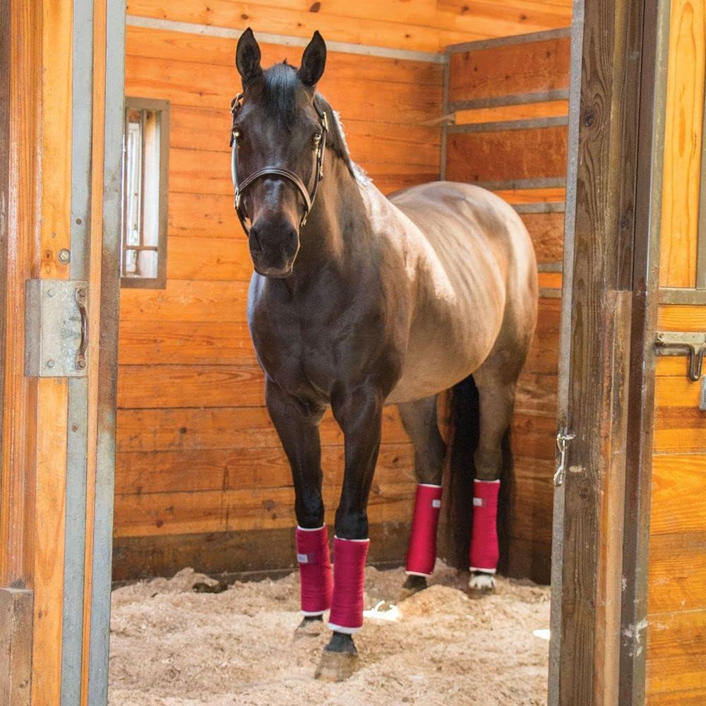Dura-Tech Standing Wraps for Horses | Color Burgundy | Optimal Comfort & Support | Ideal for Post-Exercise & Trailering | Right Tension Application | Secure Closure