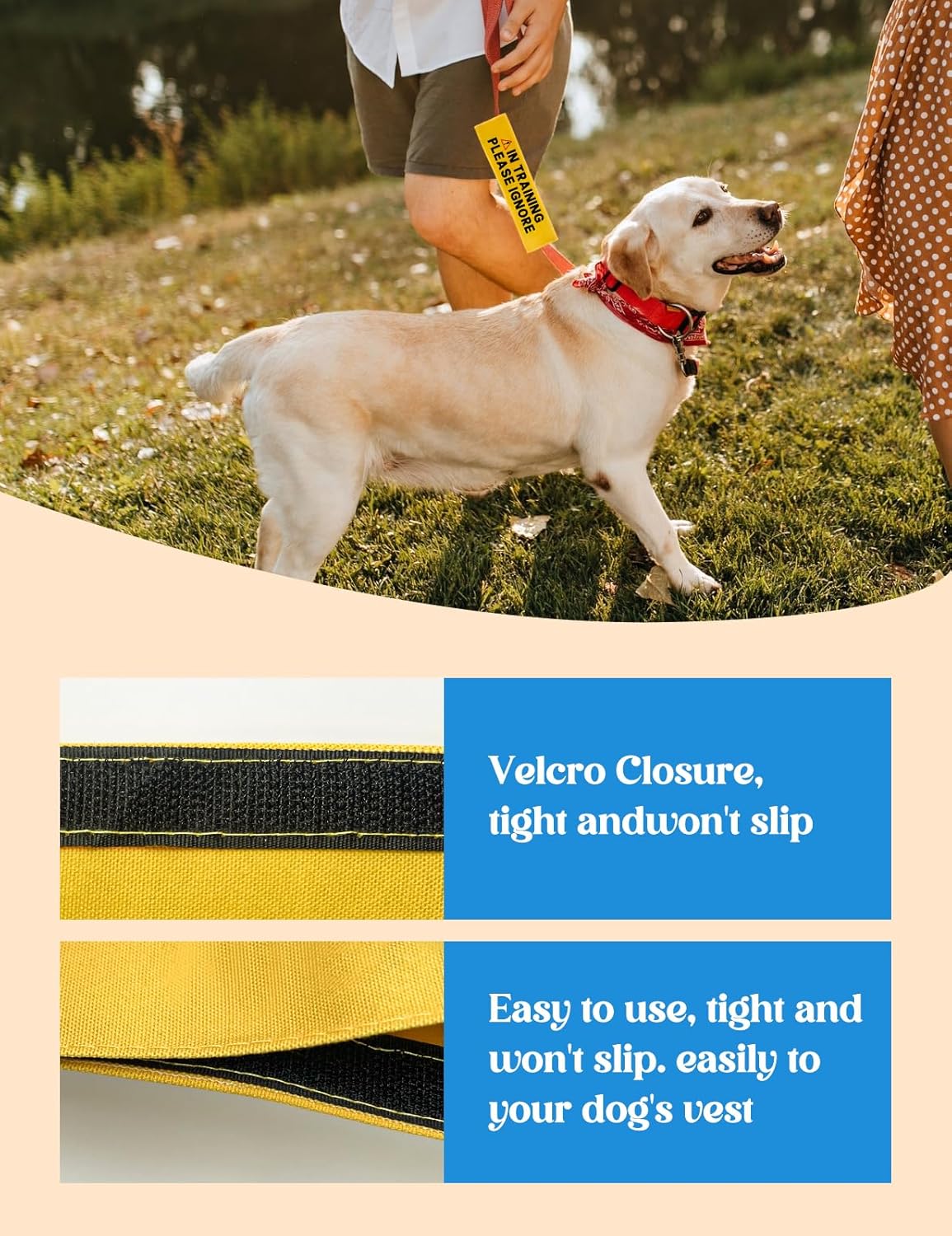 in Training Please Ignore Leash Sleeve, Funny Yellow Dog Alert Hanging ID Patch Tag, Do Not Pet Working Leash Wrap, Pet Birthday Gifts for Dog Owners