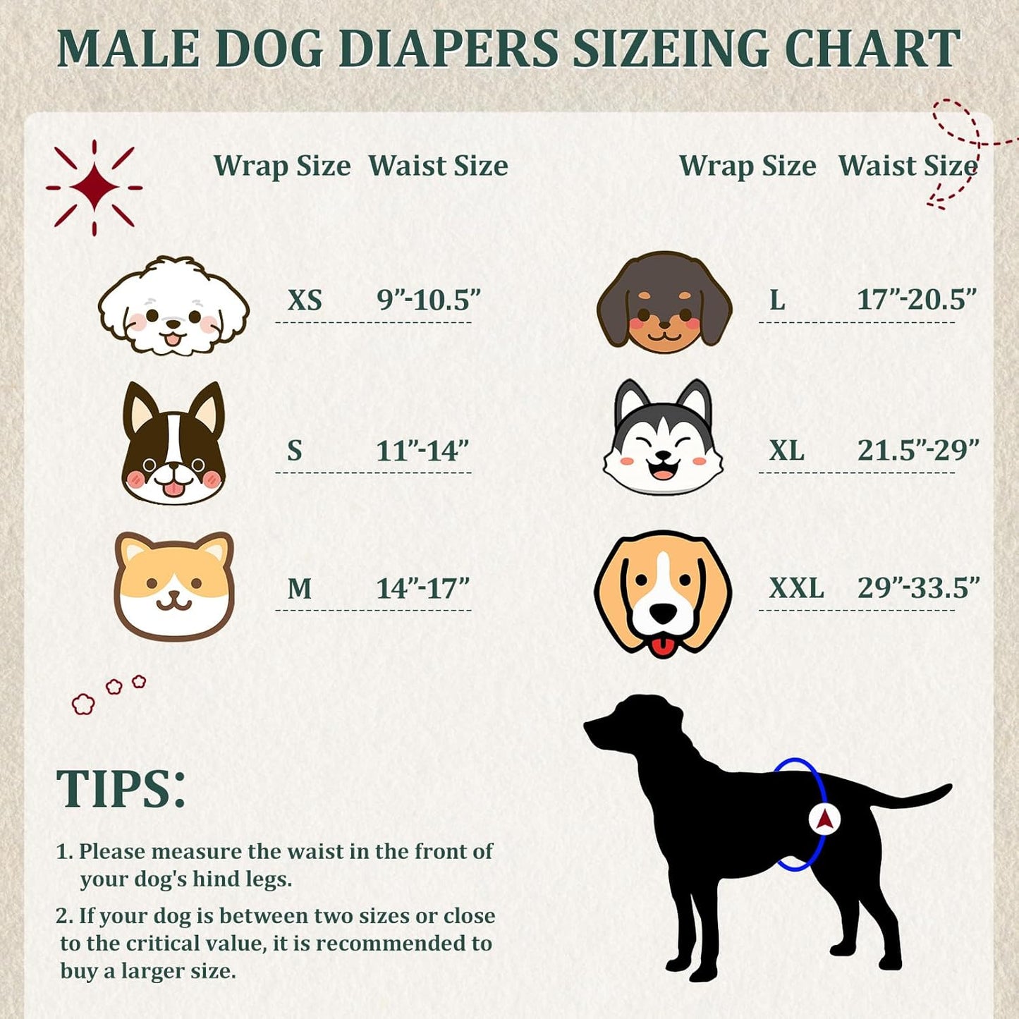 Reusable Dog Diapers Male, Premium Washable Belly Bands for Male Dogs Extra Small, Pack of 5, High Absorbing Male Dog Wraps for Doggie & Puppy in Incontinence or Excitable Urination and Training(XS)