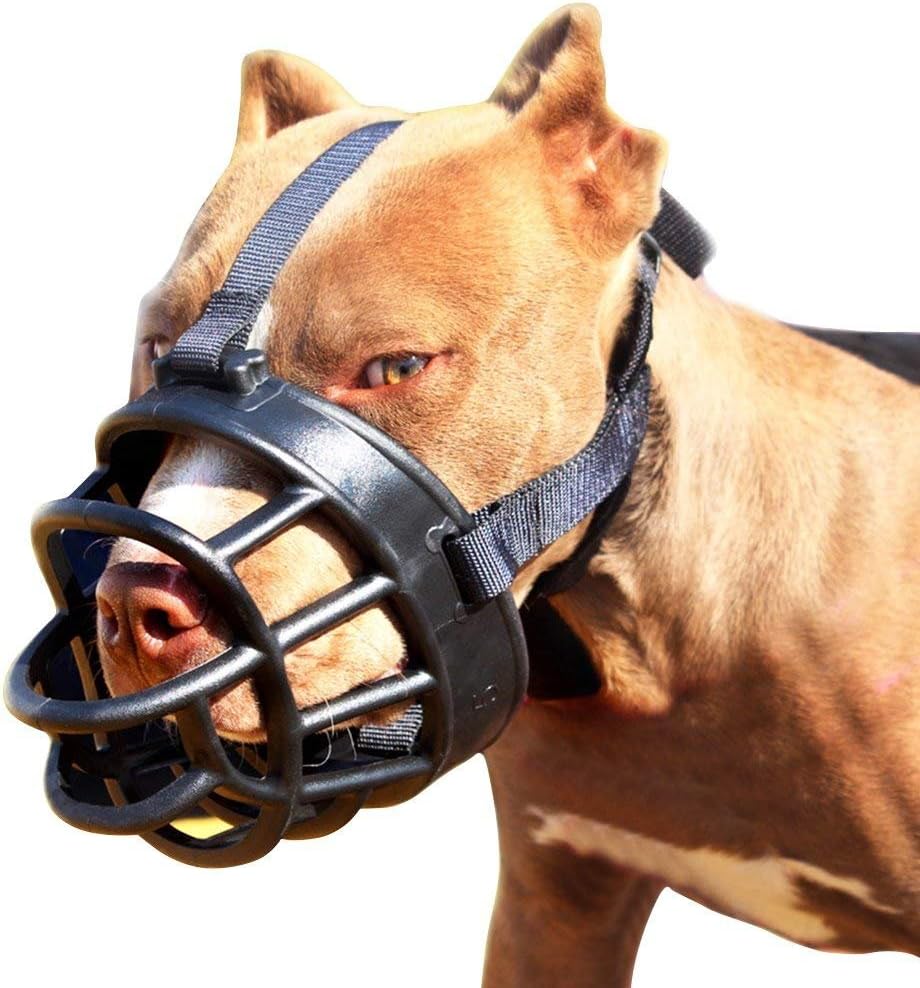 Basket Dog Muzzles-Soft Adjustable Breathable Mask Anti Biting Chewing Barking Training Dog Muzzle for Small Medium Large Dogs (Black, 2: Snout 6.7-10.2")