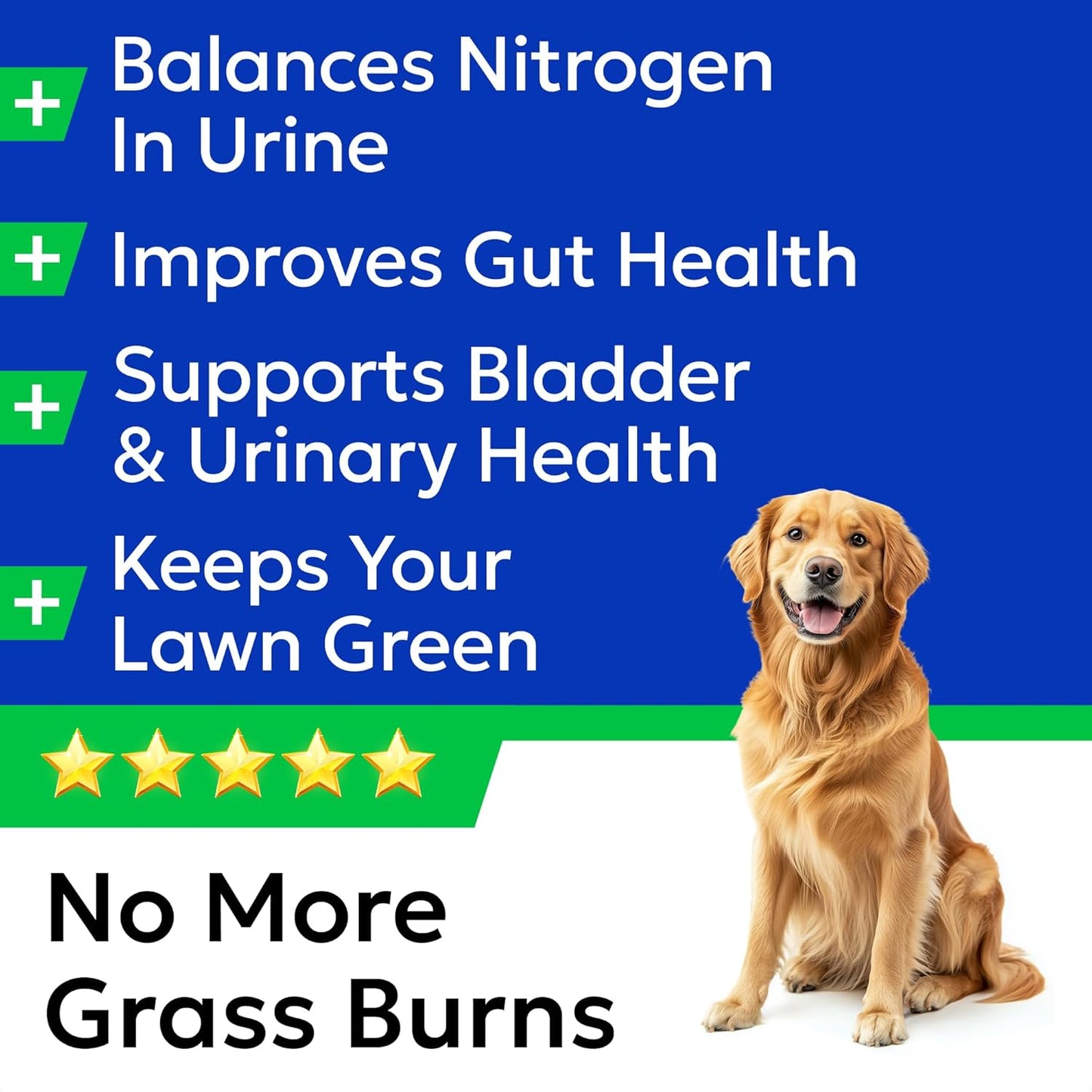 BARK&SPARK Green Grass Chews - Pee Grass Spot Saver Caused by Dog Urine - Urine Neutralizer for Lawn, Gut Health Probiotics & Digestive Enzymes,Lawn Burn from Dog Urine, Grass Burn Spot Chews, Rocks