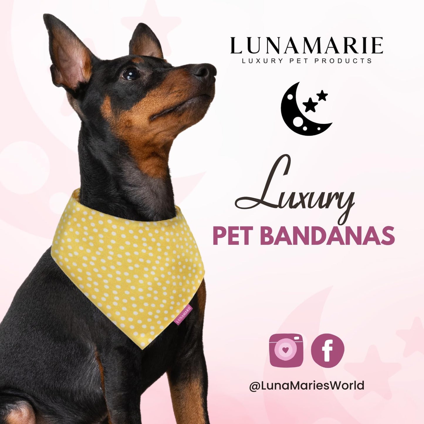 LunaMarie - Luxury Dog Bandanas - Puppy Bandanas Cat Accessories | Premium & Silky Fabric | 100% Handmade Quality | Custom Shape Dual Layered Reversible Small, Medium, Large Cat Scarf (Sophie, Small)