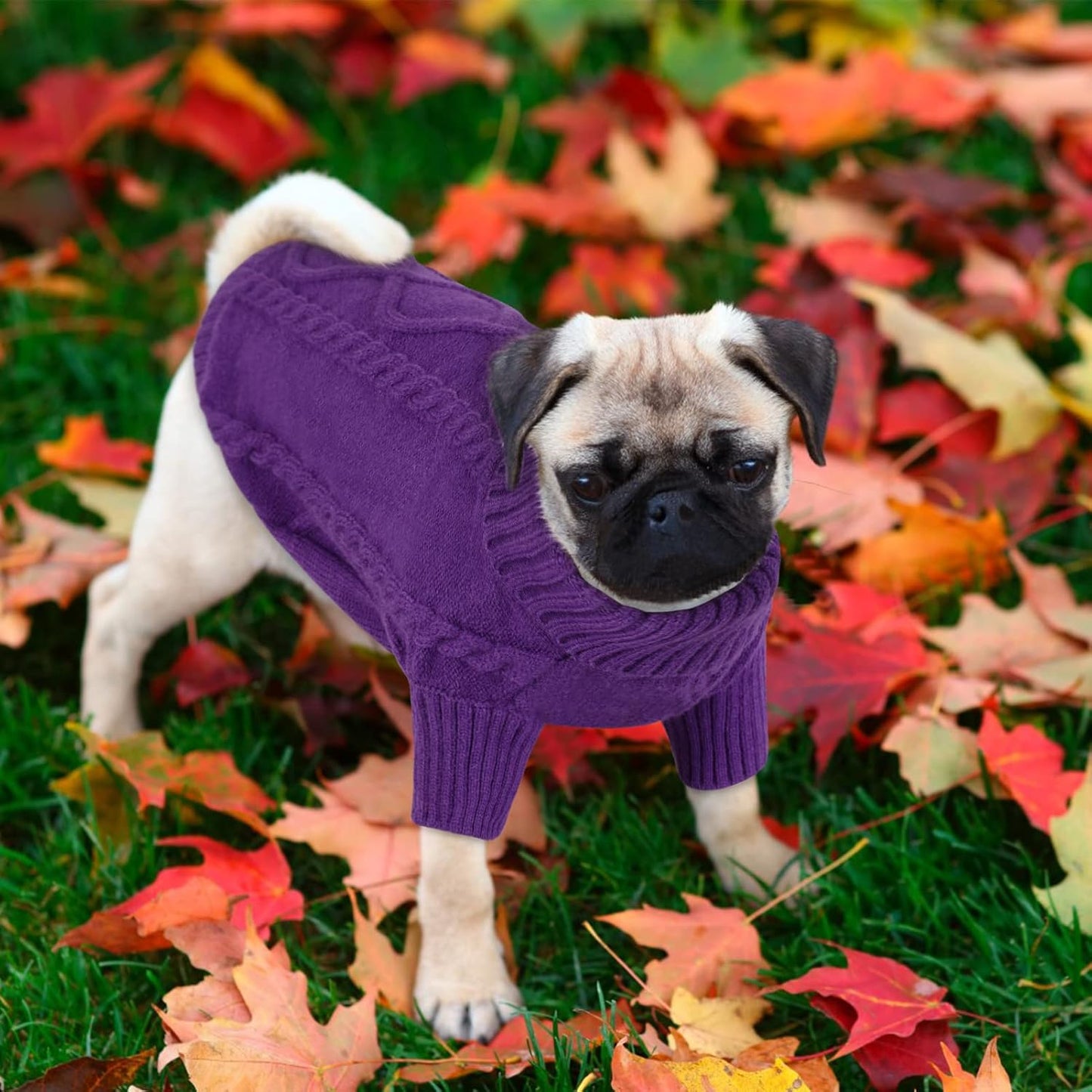 Queenmore Small Dog Pullover Sweater, Cold Weather Cable Knitwear, Classic Turtleneck Thick Warm Clothes for Chihuahua, Bulldog, Dachshund, Pug (Purple, Medium)