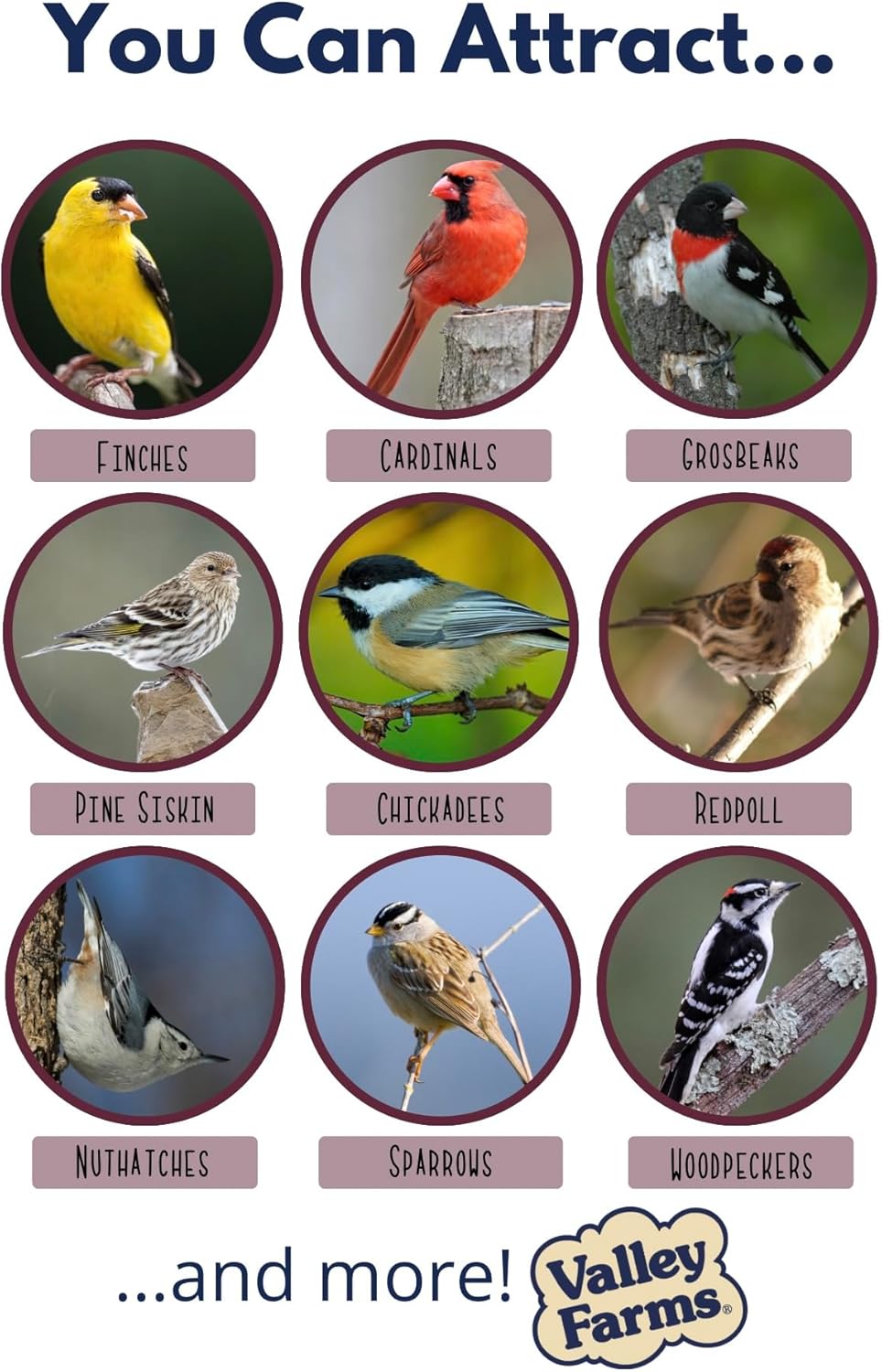 Valley Farms Whole Sunflower Hearts for Birds (40 LB) No Mess Bird Seed for Outside Feeders, Attract Finches, Cardinals, & More Wild Birds, Very Clean Sunflower Seeds