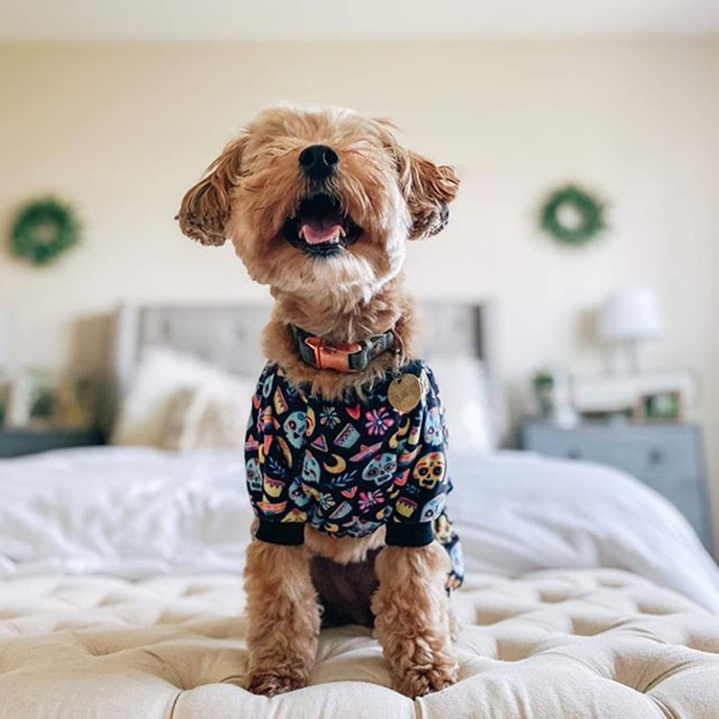 CuteBone Small Dogs Outfit Soft Puppy Onesies Pjs Halloween Dog Pajamas Pet Coat Cat Apparel Comfy Doggie Jumpsuit Bodysuit for All Seasons P73S