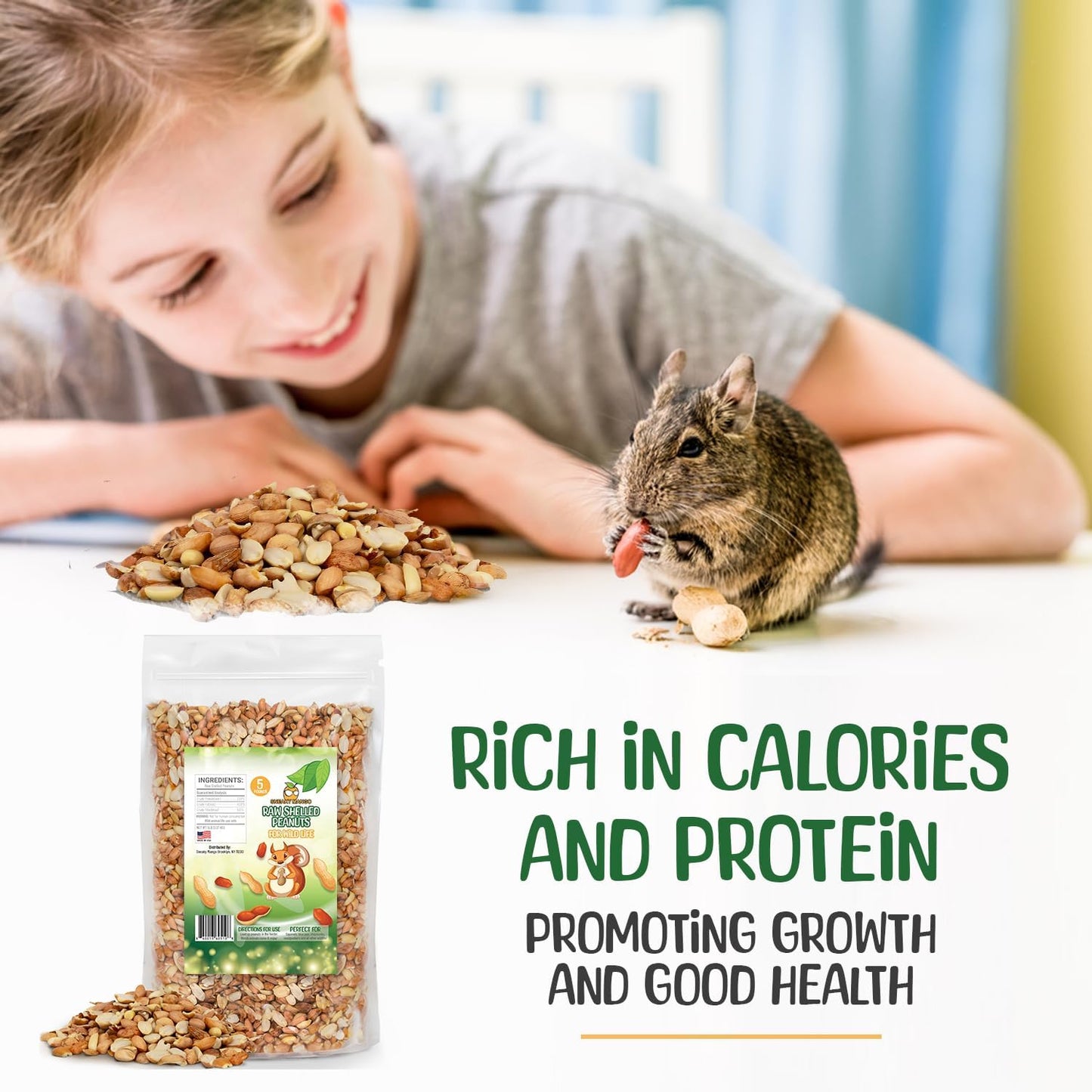 Premium Quality Raw Out of Shell Peanuts - 1 Pound - Shelled Peanuts for Birds – Wildlife Quality - Food for Squirrels, Deer, Birds, and Other Wildlife Animals – Grown in The USA