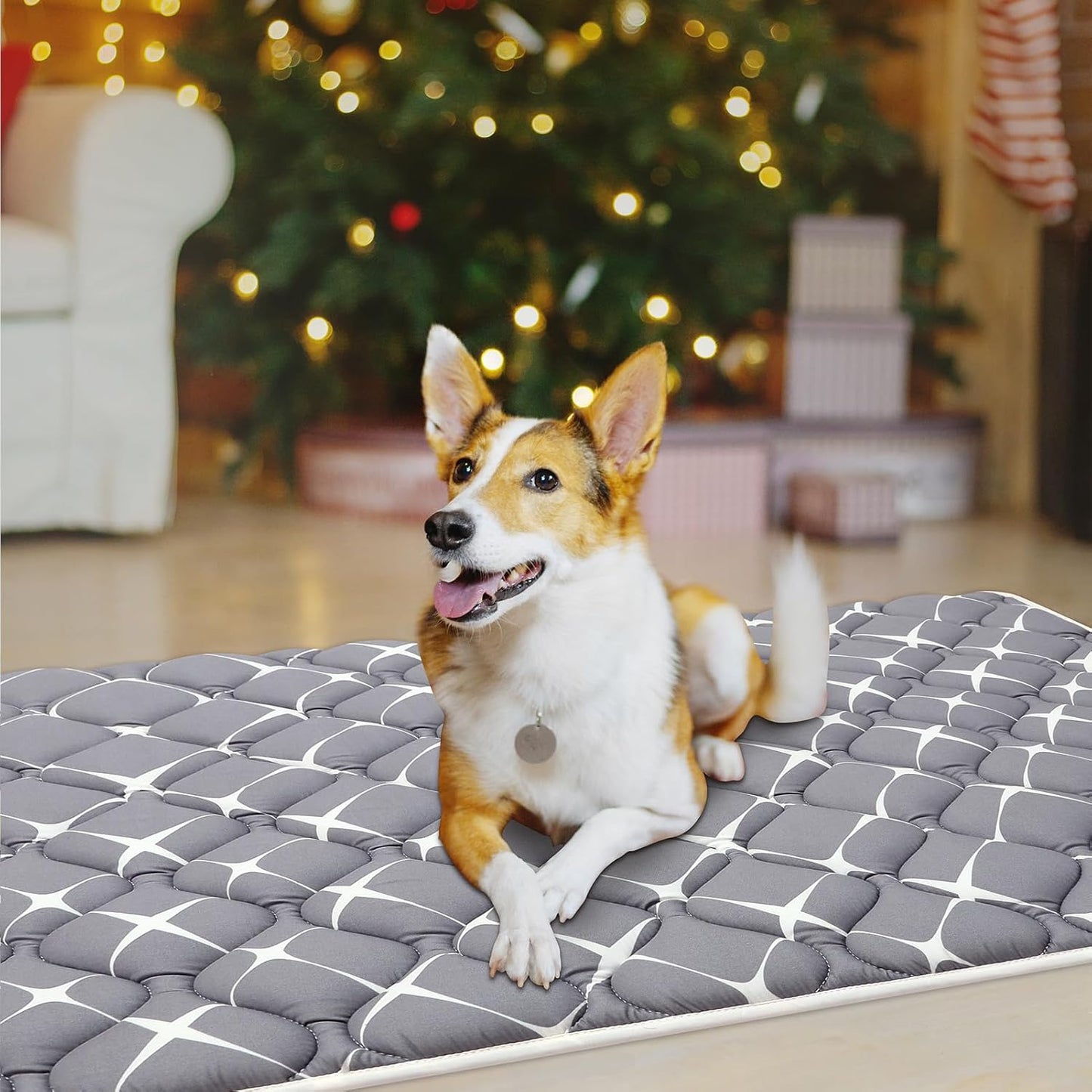 Bubble bear Dog Crate Mat - Ultra Soft, Washable & Anti-Slip Kennel Pad for Small/Medium/Large Dogs, Dark-Hued to Hide Stains (59"x35")