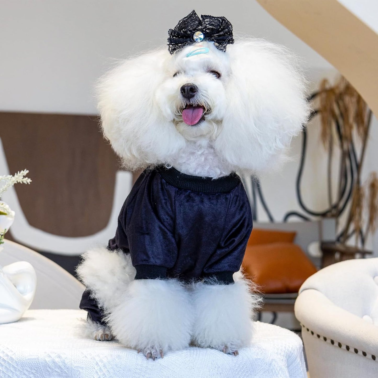 CuteBone Dog Halloween Pajamas Puppy Onesies Small Dogs Soft Pjs Coat Cat Apparel Comfy Pet Christmas Clothes Outfit Doggie Bodysuit P296M