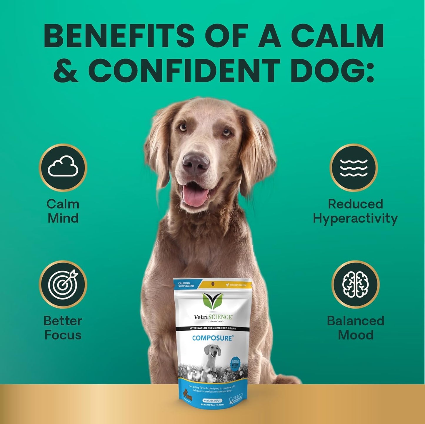 VetriScience Calm & Confident Chews, Composure Clinically Tested Calming and Anxiety Supplement for Dogs, Reduce Stress and Fear, Ideal for Thunderstorms, Fireworks and Travel, Bacon, 60 Count