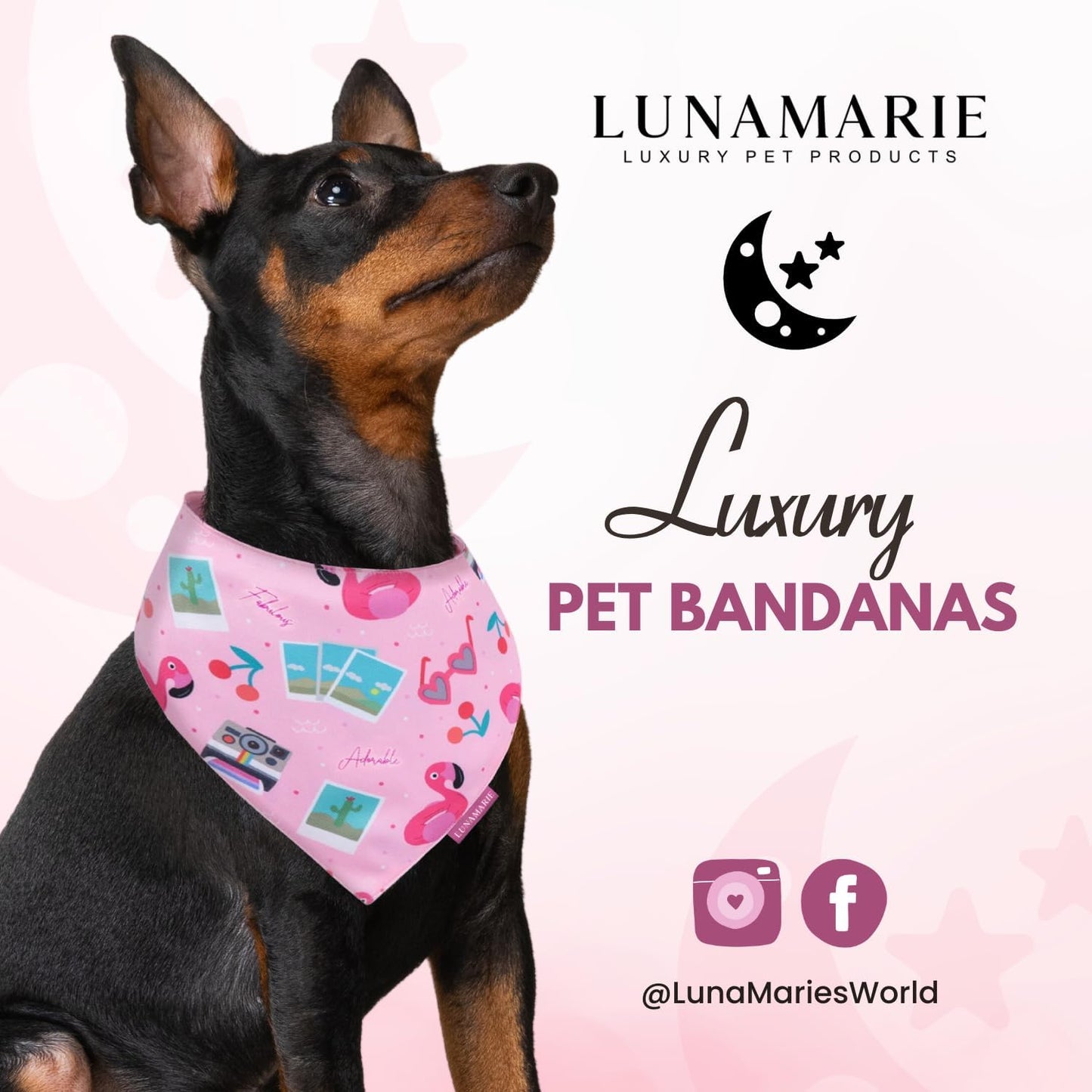 LunaMarie - Luxury Pet Birthday Bandanas -Premium & Silky Poly Fabric | 100% Handmade | Custom Shape Dual Layered (Summer Vibes, Small)
