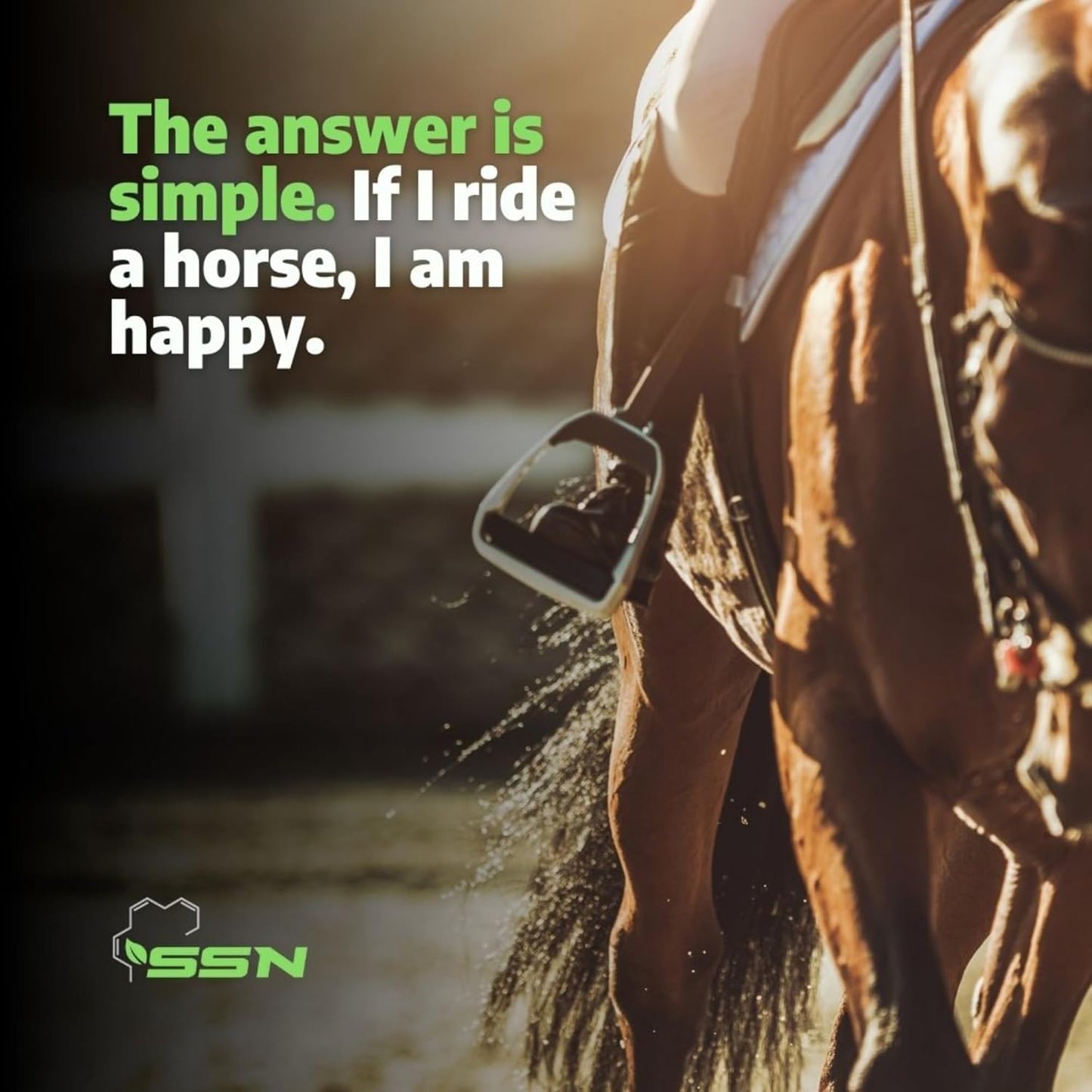 SSN HA 150 - 4 In 1 Horse Supplement - 60 Servings - Equine Joint, Gastric, Ligament/Tendon, Lung Capillary Health - Glucosamine Alternative - (60 Pack, 150mg Sodium Hyaluronate per Serving)