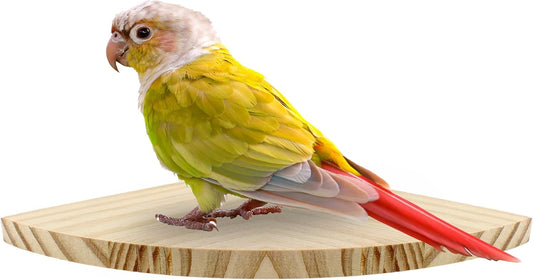 Bird Perch Corner Stand for Bird Cage Corner Platform Wood Bird Perches Corner Shelf Rest for Birds Parrots Cockatiels and Other Animal Pet Cages (Wood, Flat - Large)