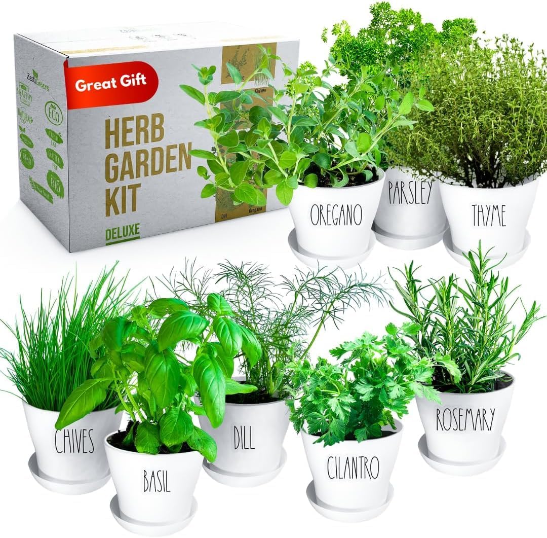 Deluxe Indoor & Outdoor Herb Garden Kit – 8 or The Most Popular Culinary Herbs with Pots & Soil for Windowsill or Patio Growing