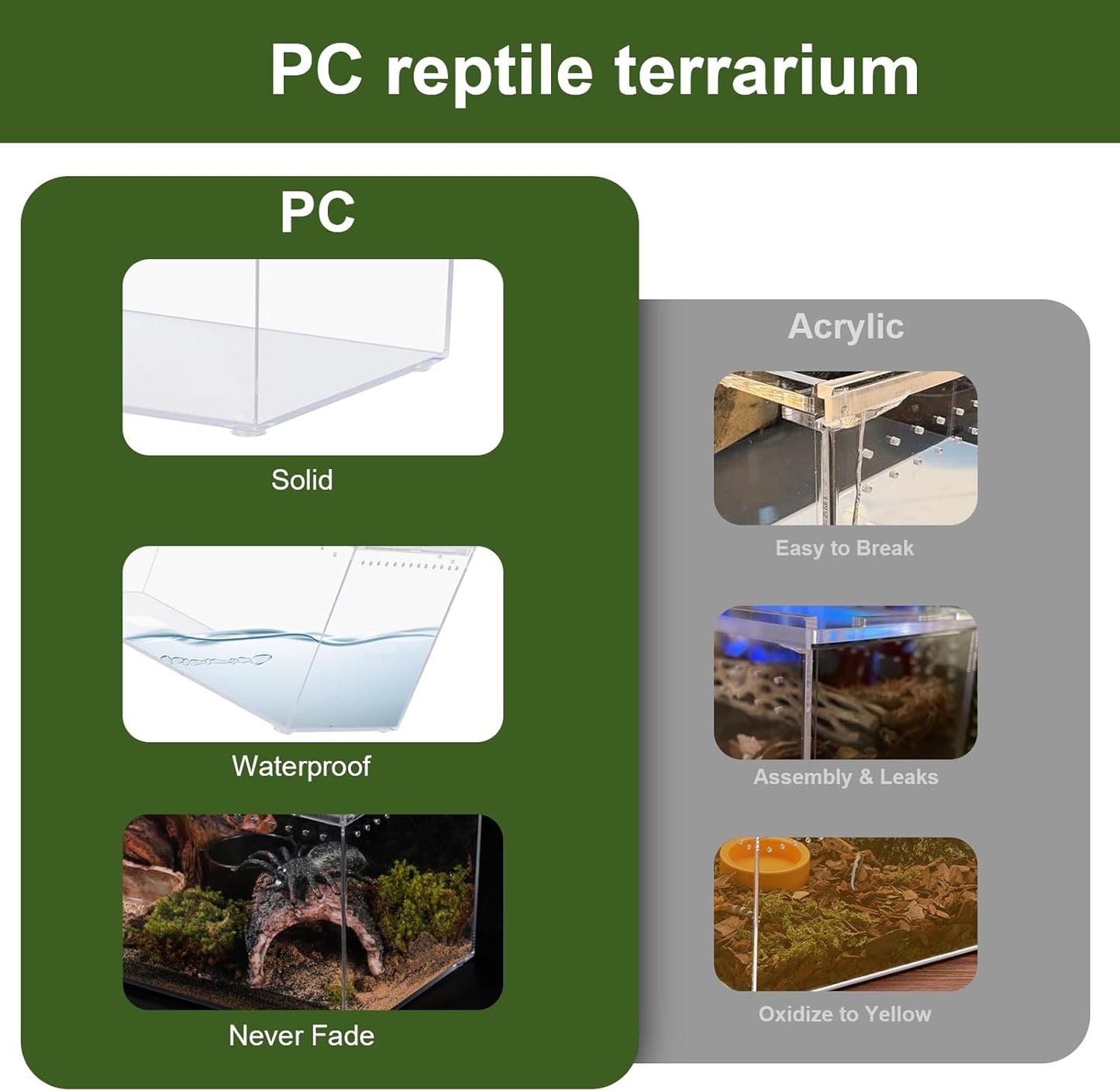 Reptile PC Terrarium 10.2" x 5.9" x 5.7" Full View Reptile Aquarium Tank Starter Kit for Insect Plant Gecko Spider Habitat Amphibians Enclosure with Hide Cave Feeding Bowl